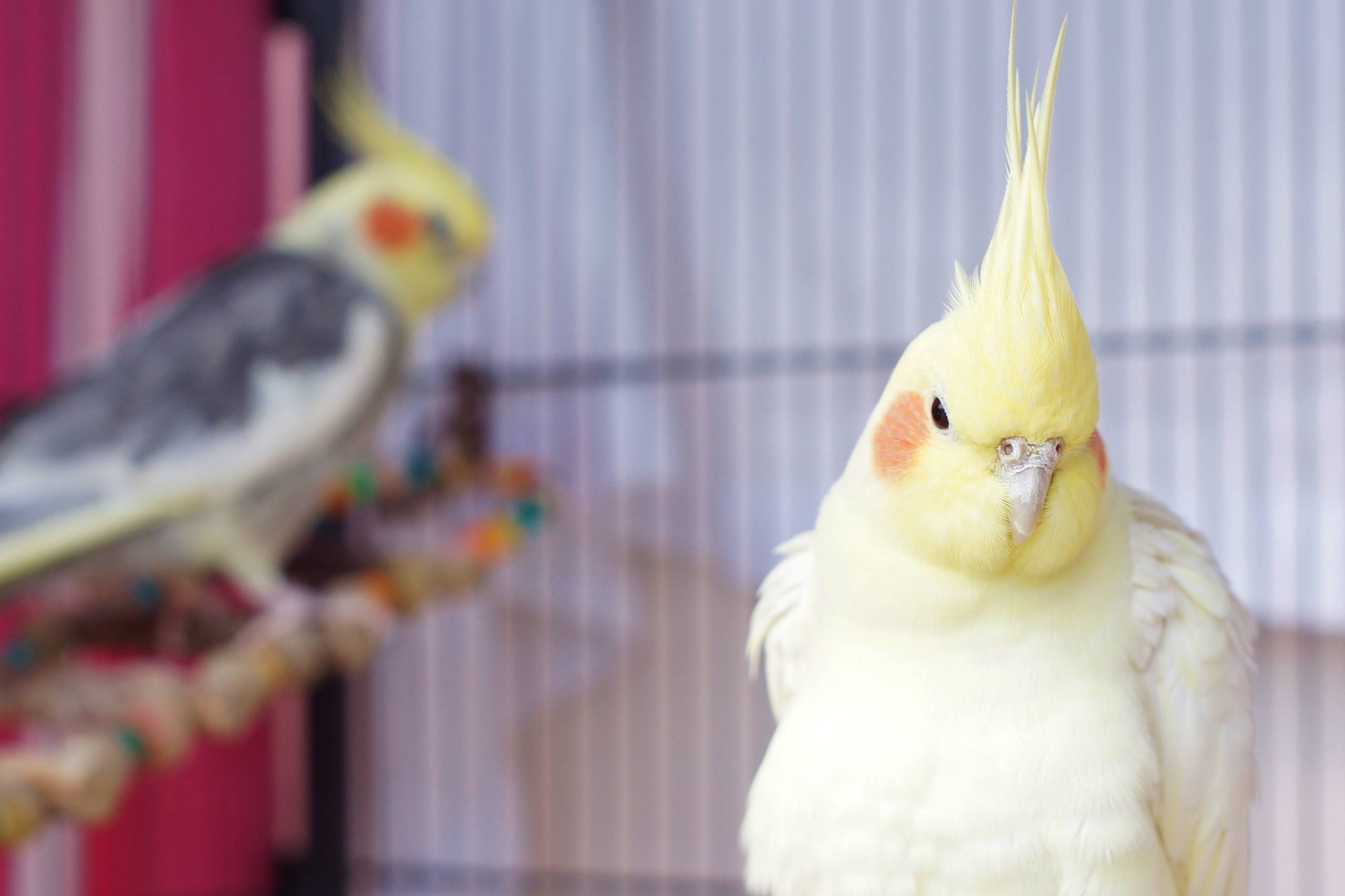 Разговор PRO: Как упорядочить работу с разными клиентами?