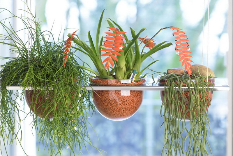 Вопрос: Чем заменить землю для растений в горшках