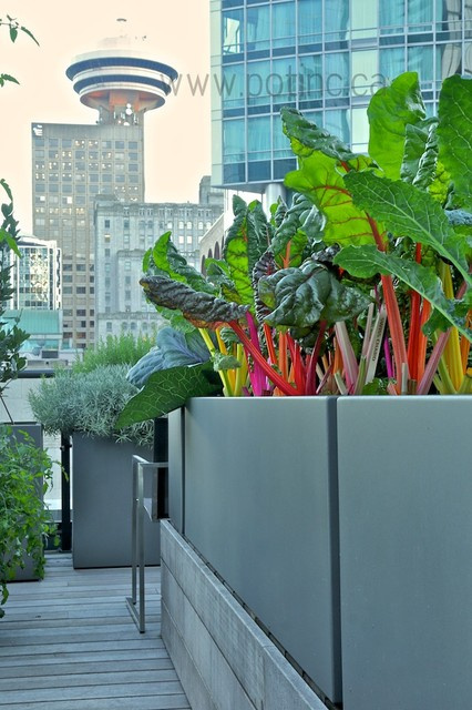 Вопрос: Сад, интерьер и зимний сад — как их связать воедино