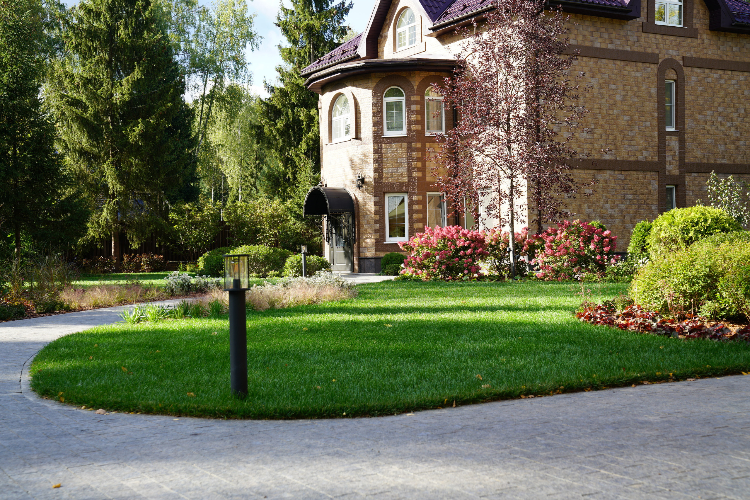 Таймлайн: 11 месяцев на реконструкцию сада 45 соток