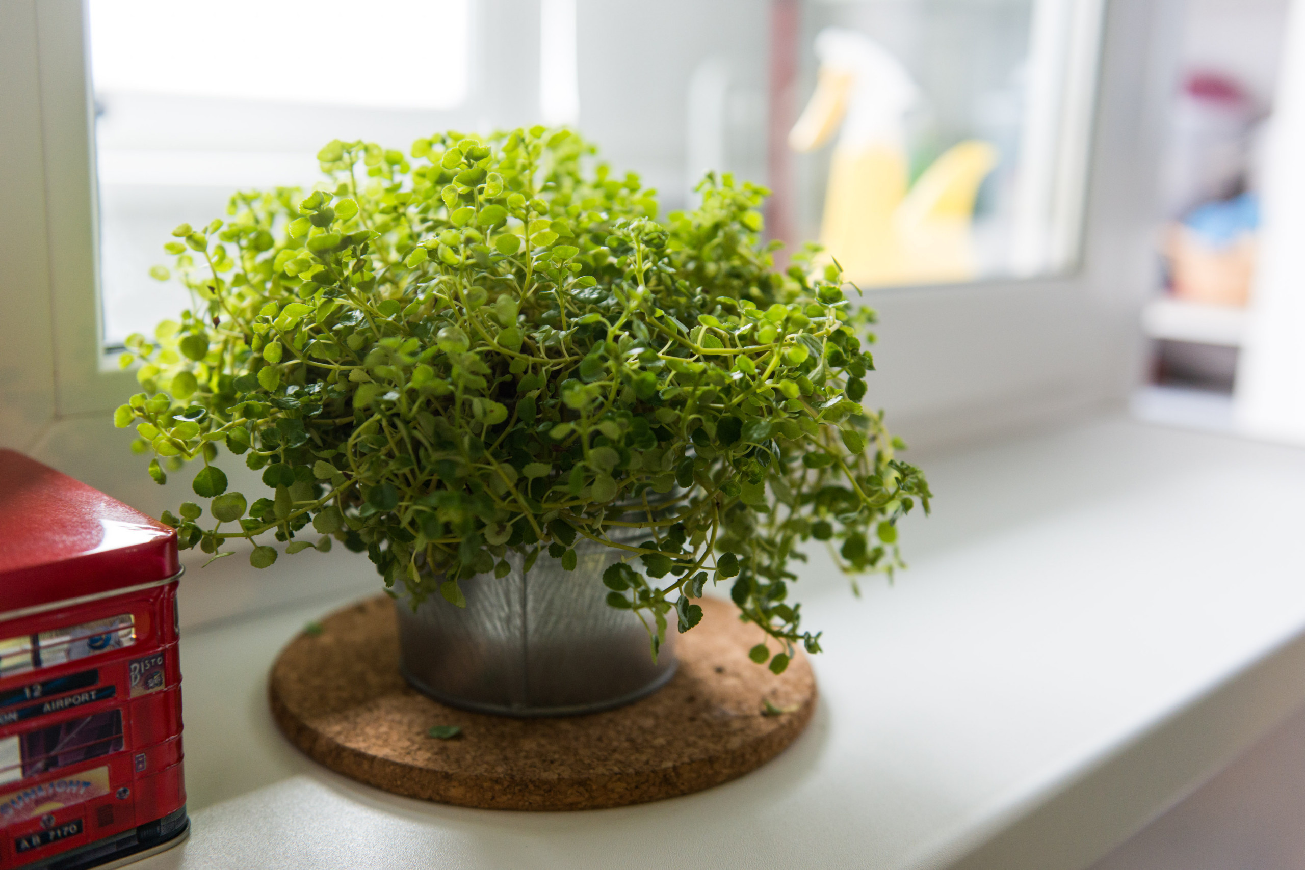 В гостях: Маленькая студия с роботом и полатями