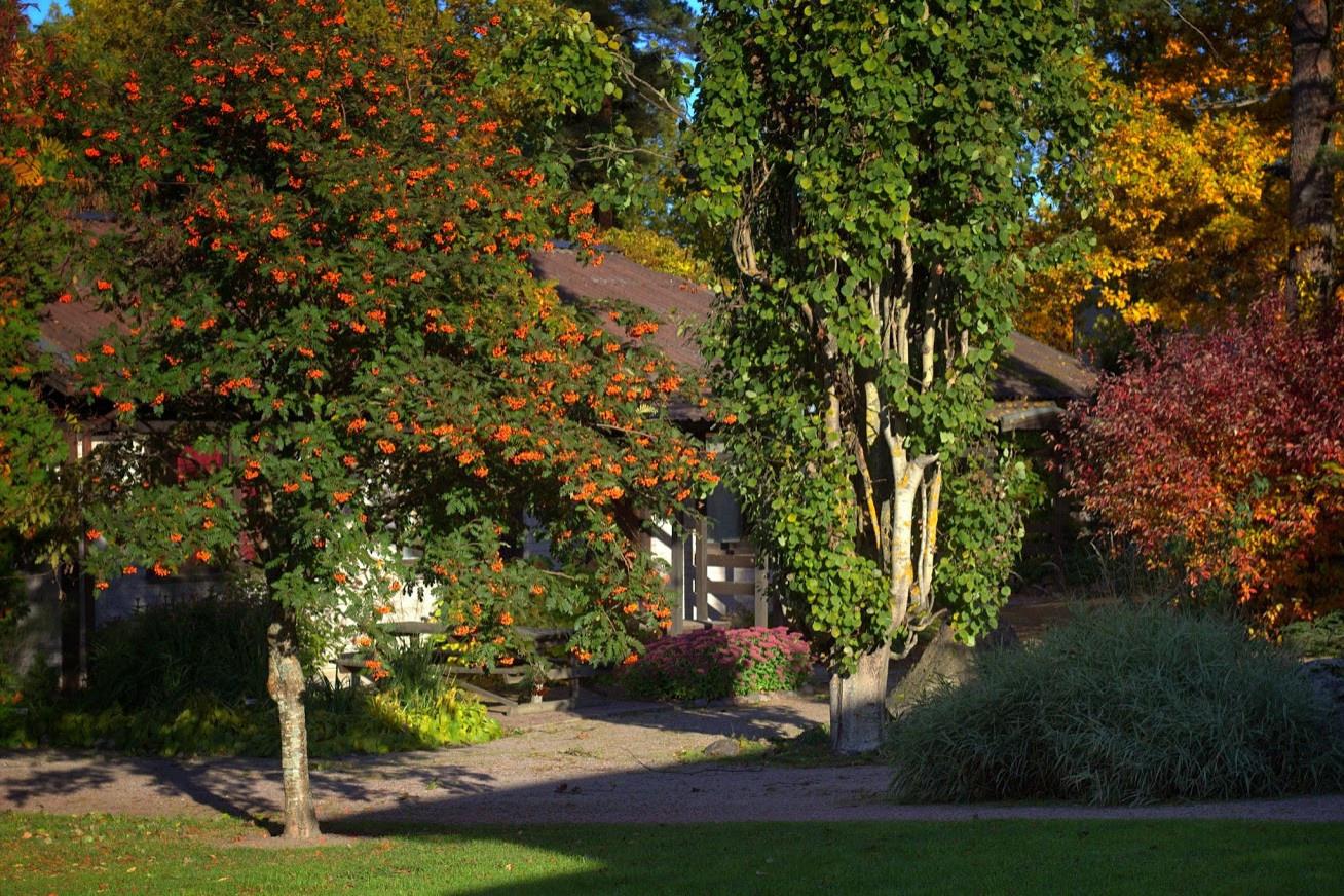 Время: Как быстро (или долго) делается проект ландшафта