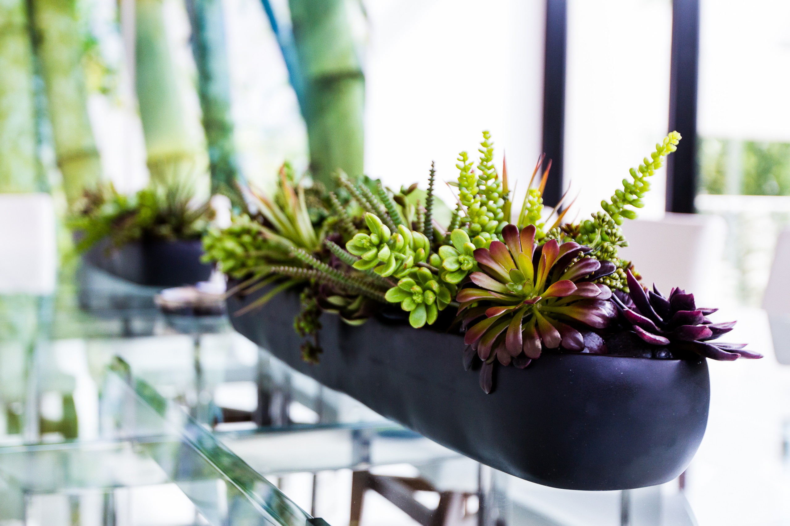 Дизайн-дебаты: Какими растениями украшать жилой интерьер