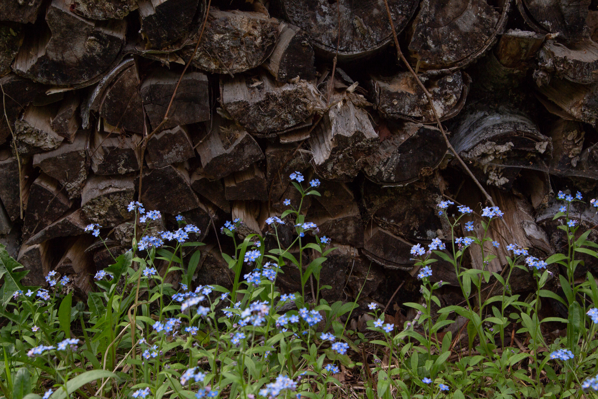 В гостях: Советская дача дизайнера Наташи Ломейко