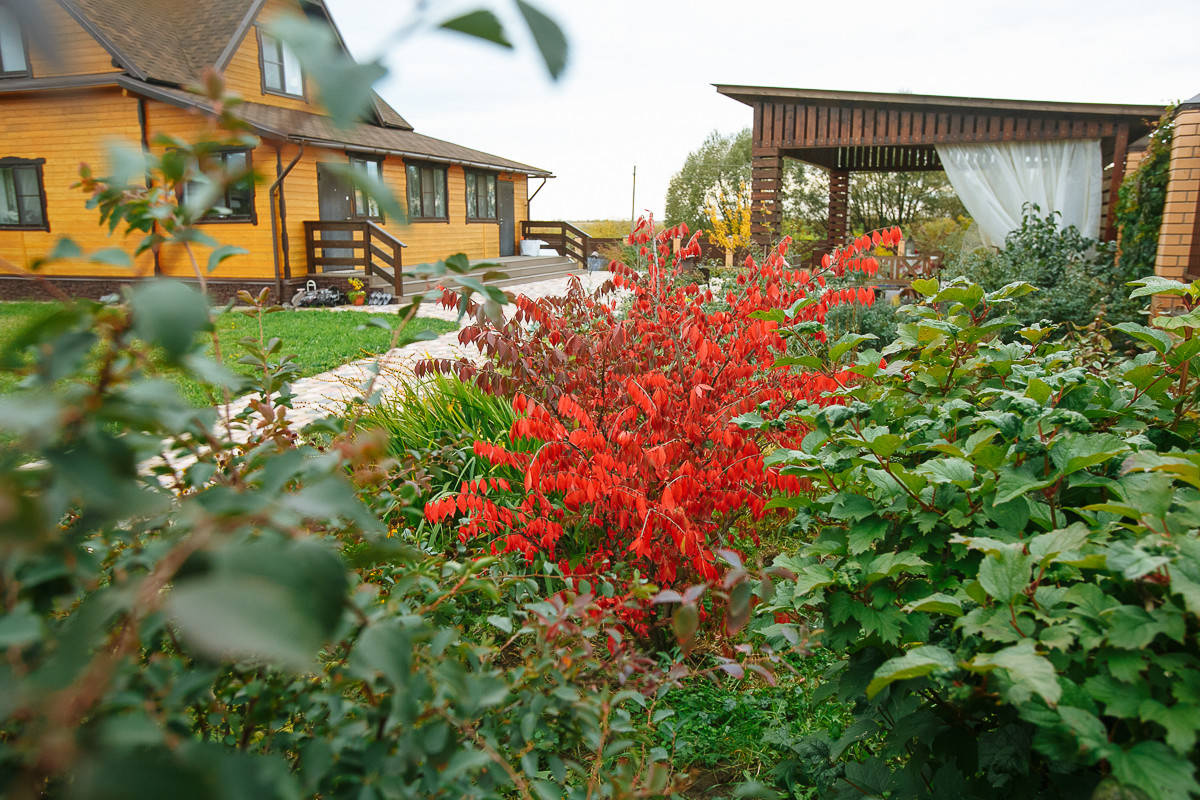 Проект недели: Пестрый сад в Рязанской области