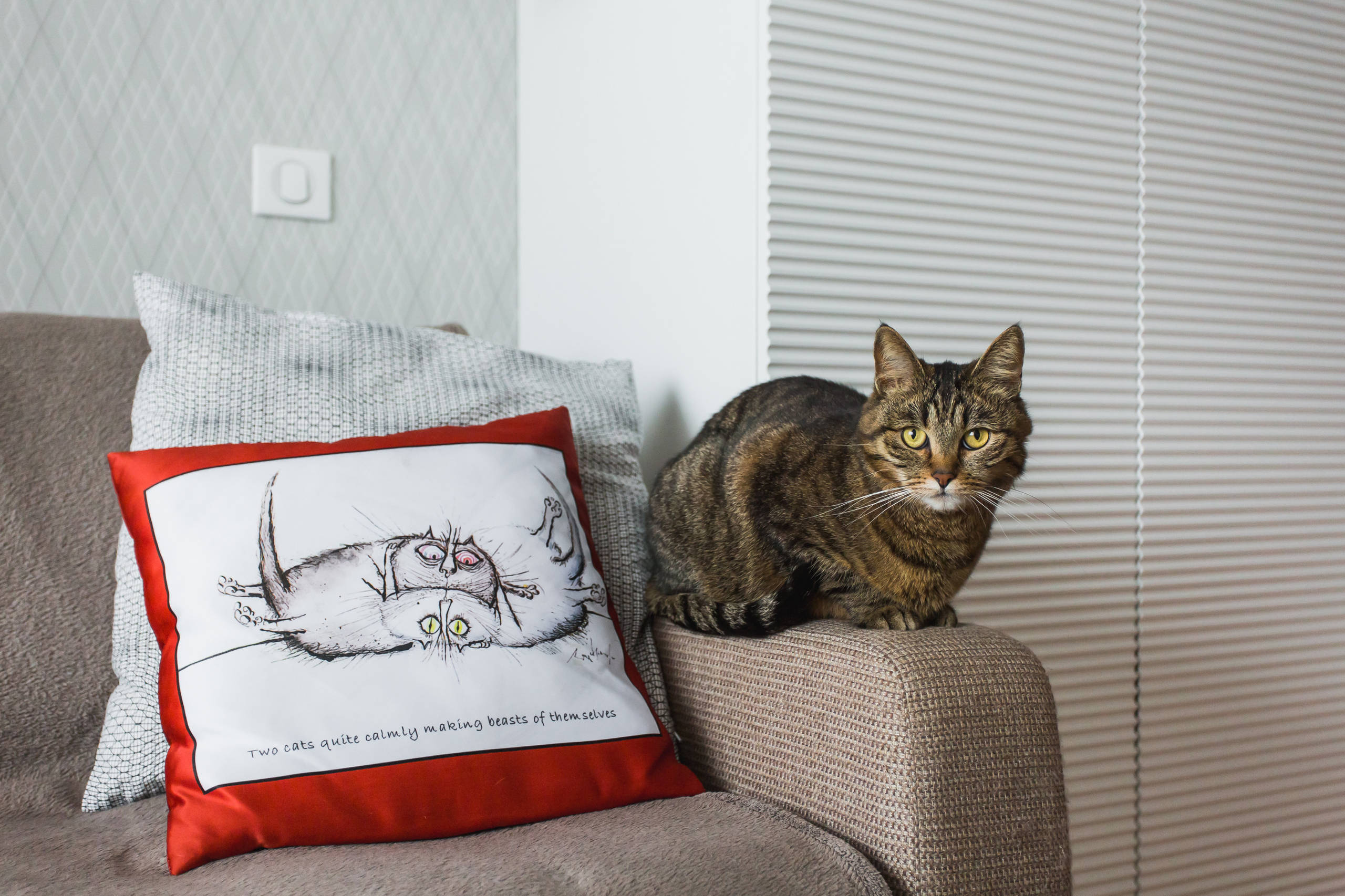 В гостях: Белый интерьер с красными акцентами на 33 квадратных метрах