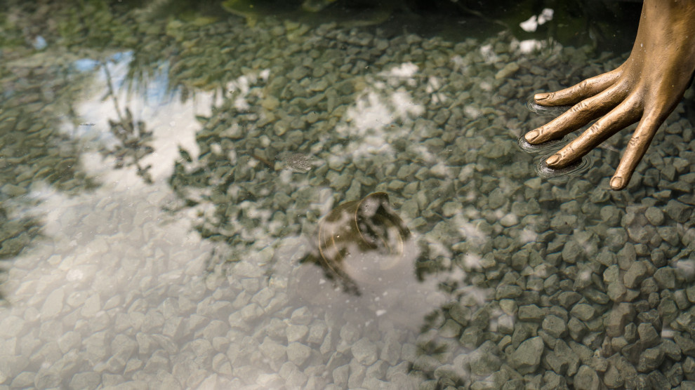 Проект недели: «Тайны соблазнов» — сад для Вячеслава Зайцева