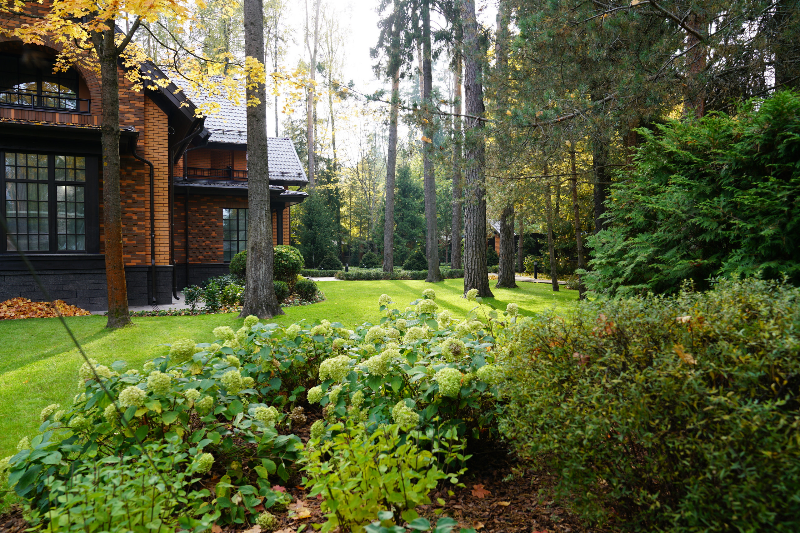 Таймлайн: 9 месяцев на реновацию сада 45 соток в английском стиле