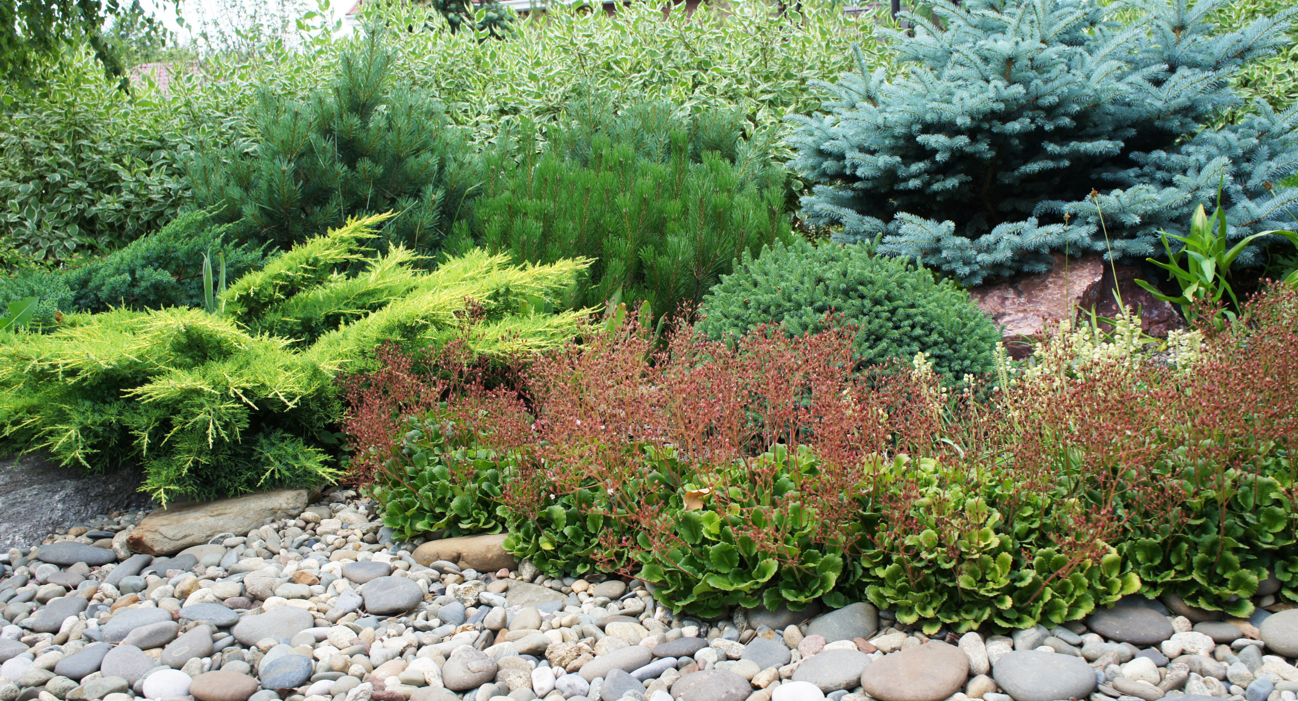 Сад недели: Весна в Подмосковье