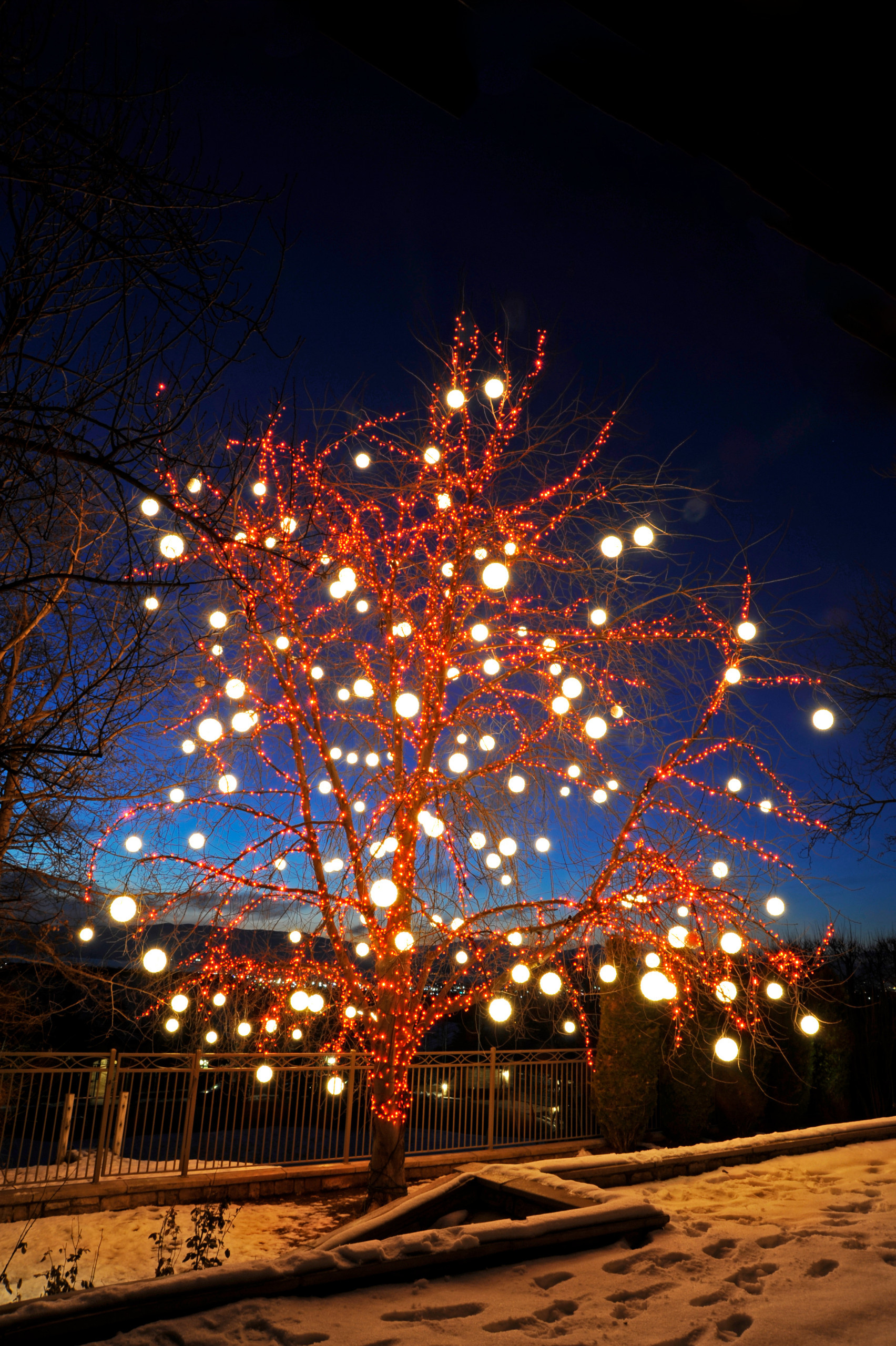 Фотоохота: Новогодняя подсветка загородного дома и сада — 26 идей