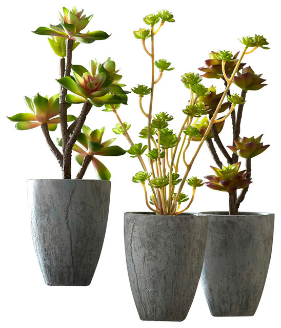 Дизайн-дебаты: Какими растениями украшать жилой интерьер