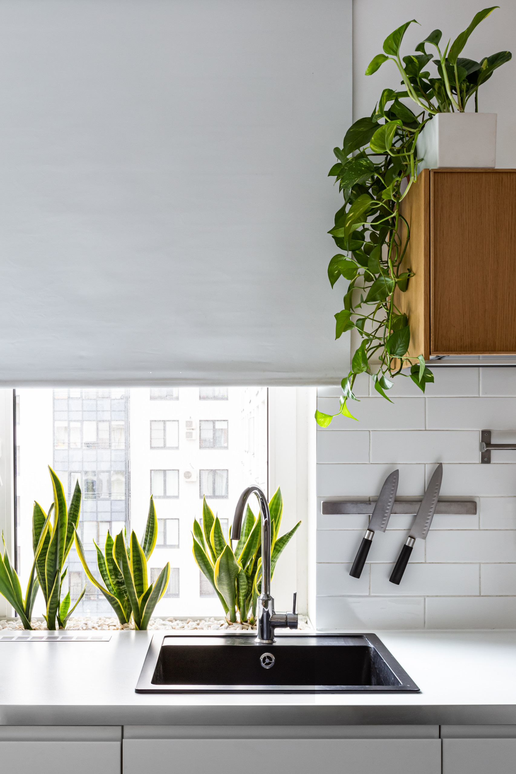 Проект недели: Солнечная кухня-гостиная для экспата