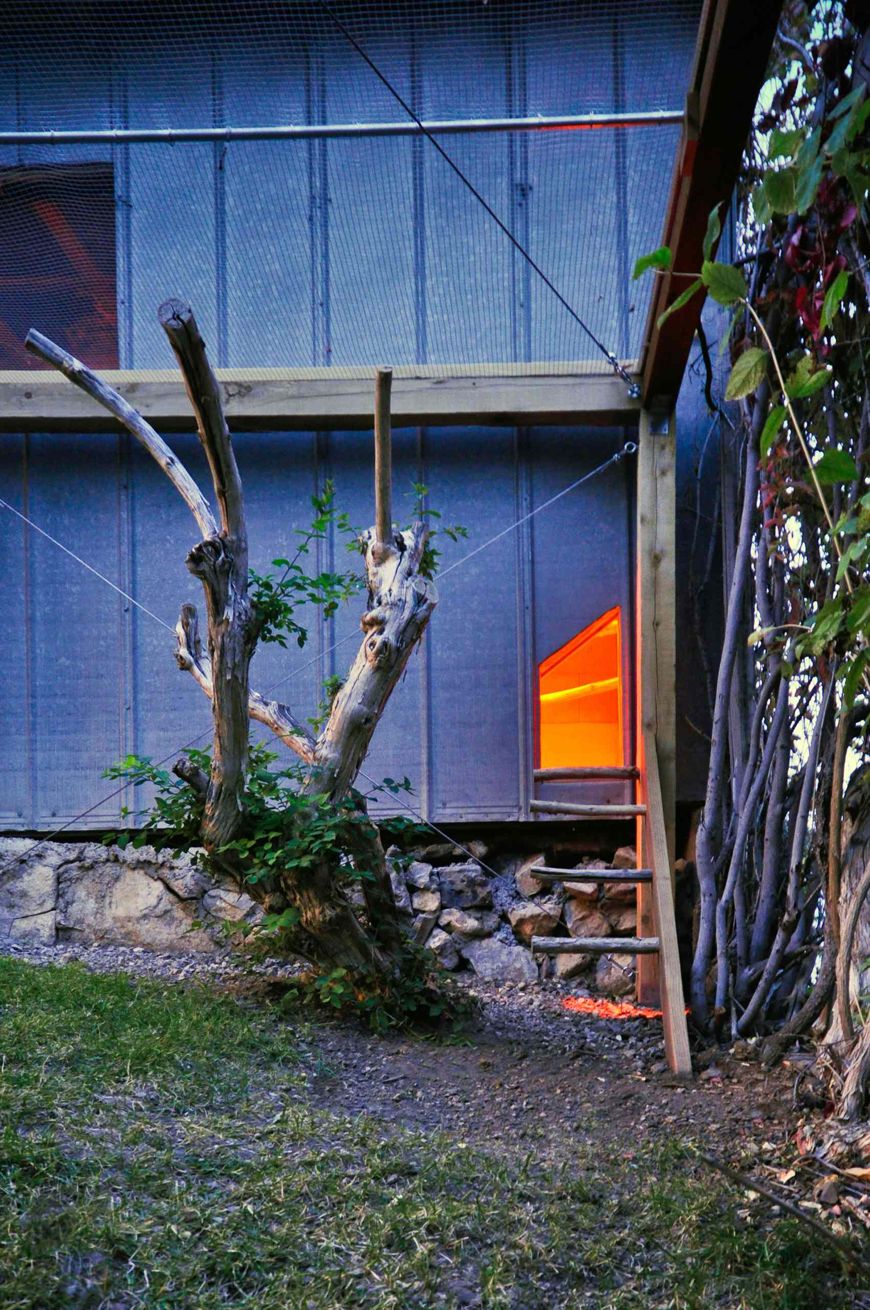 Вопрос: Как построить курятник своими руками