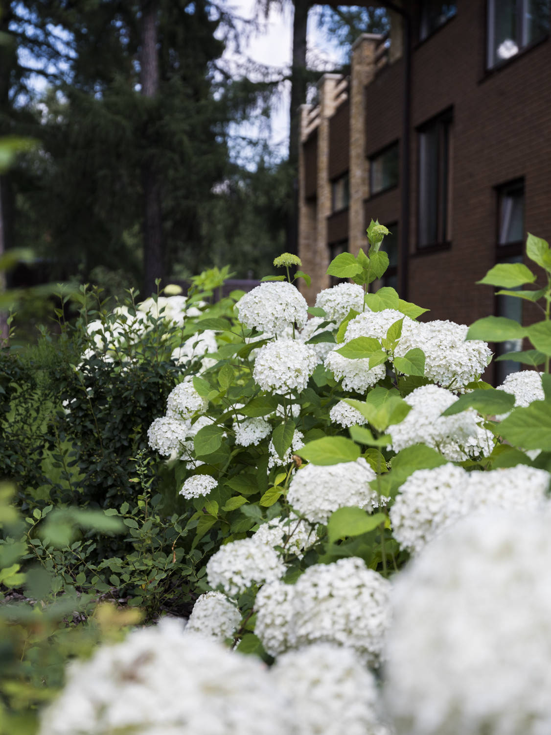 В гостях: Дом дизайнера — в старинном графском парке