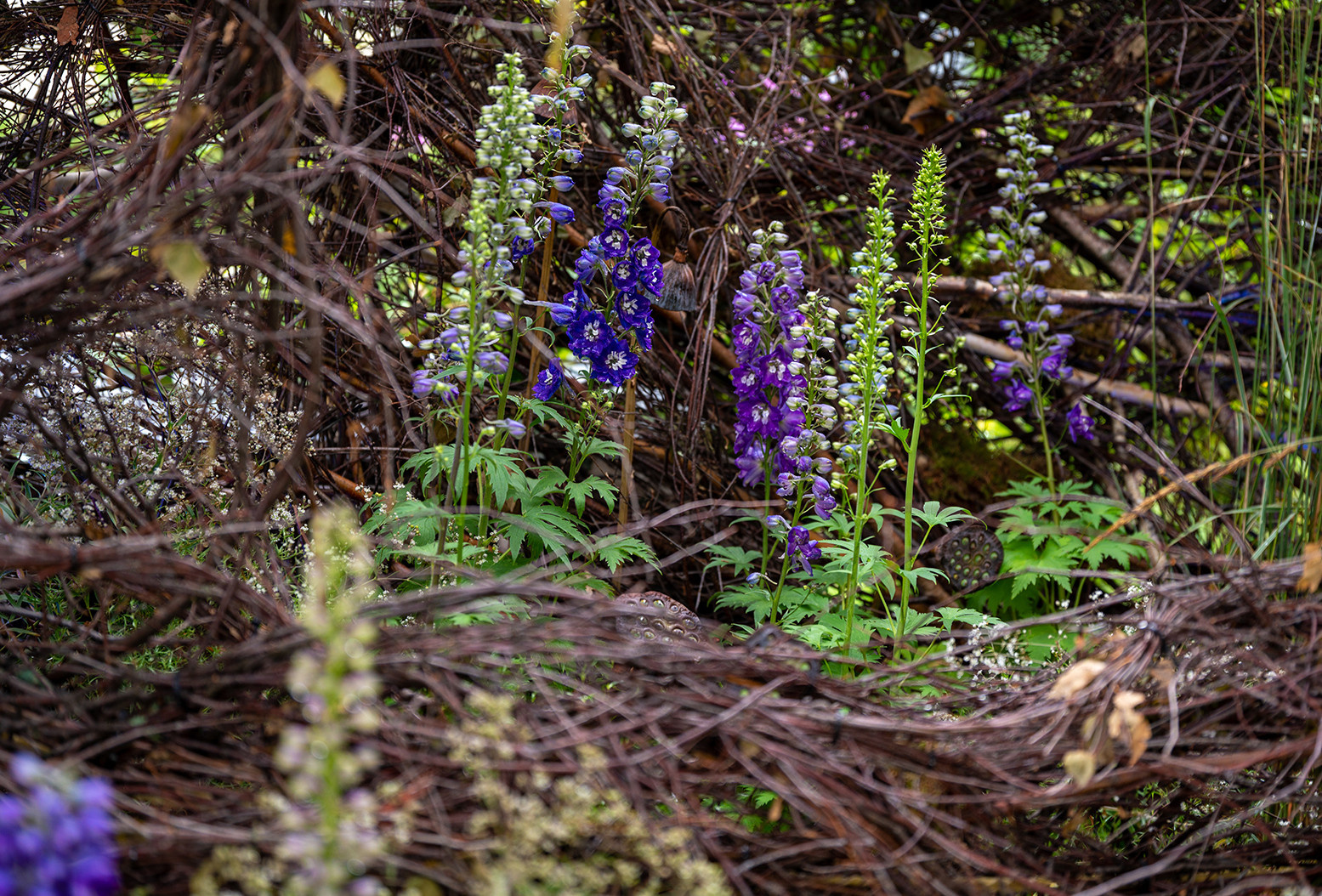 Проект недели: Сад «Декорации Метерлинка» на выставке в Москве