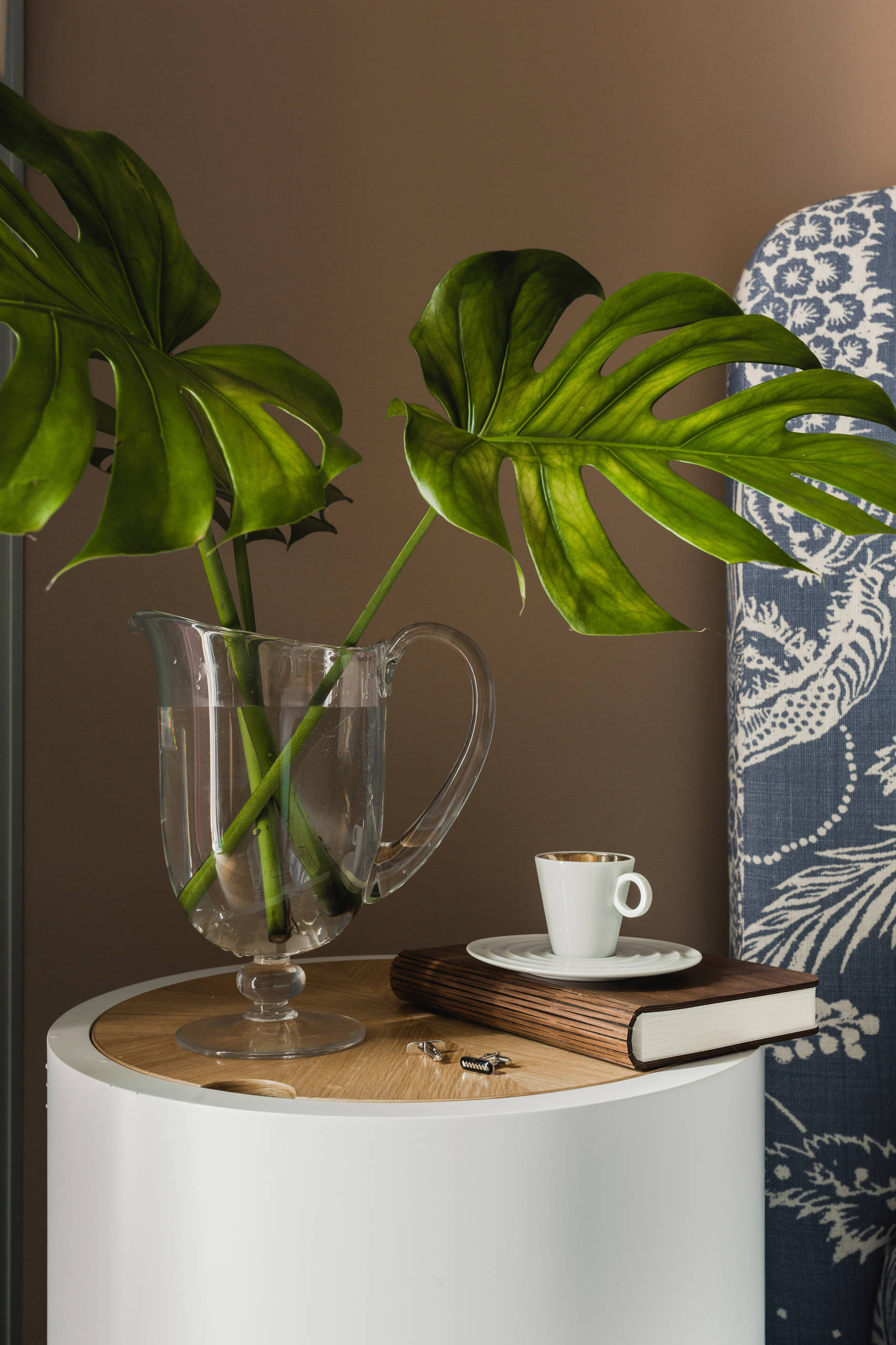 Тайный фэншуй: Какие растения в доме держать не стоит