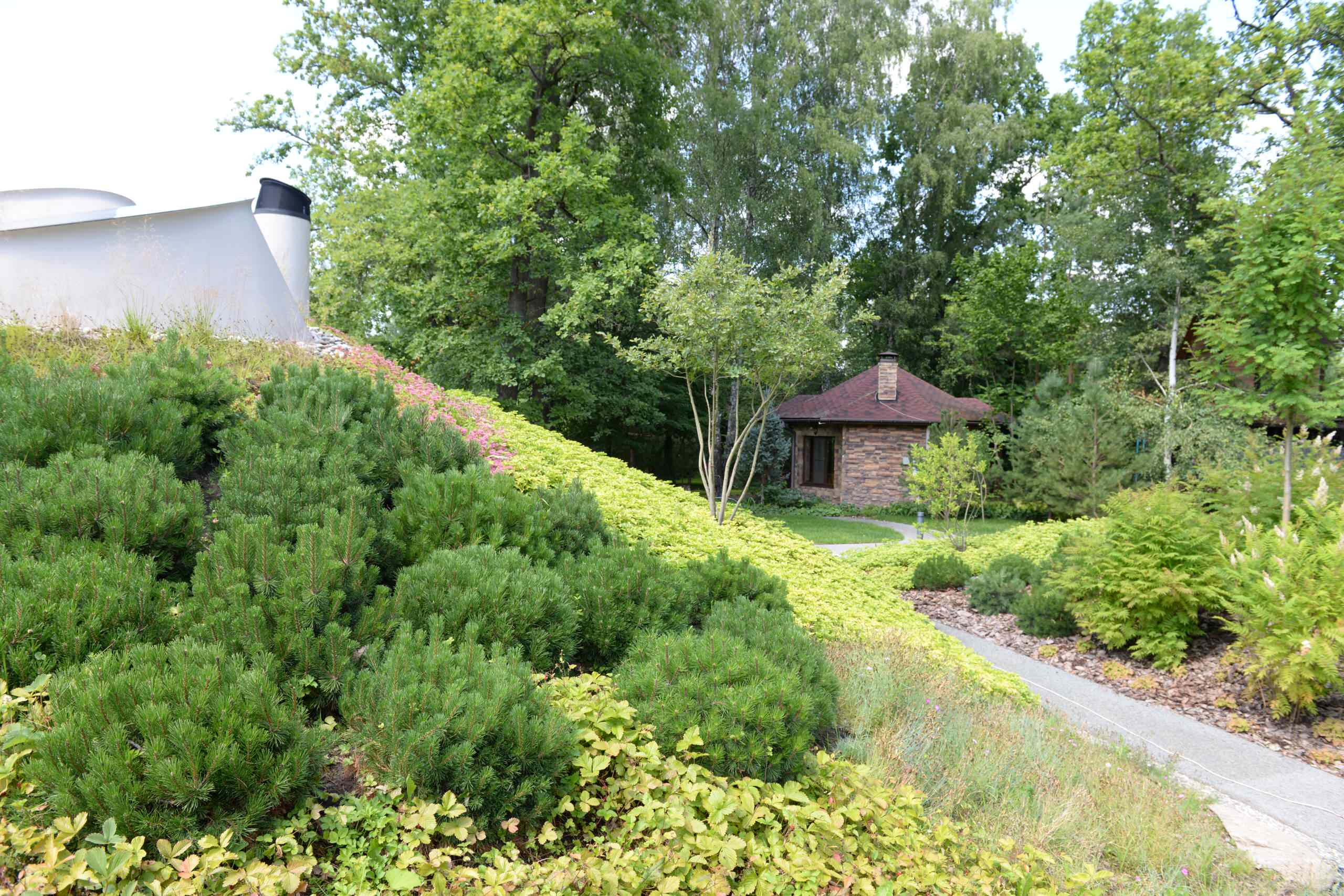 Проект недели: Сад для уникального биодома