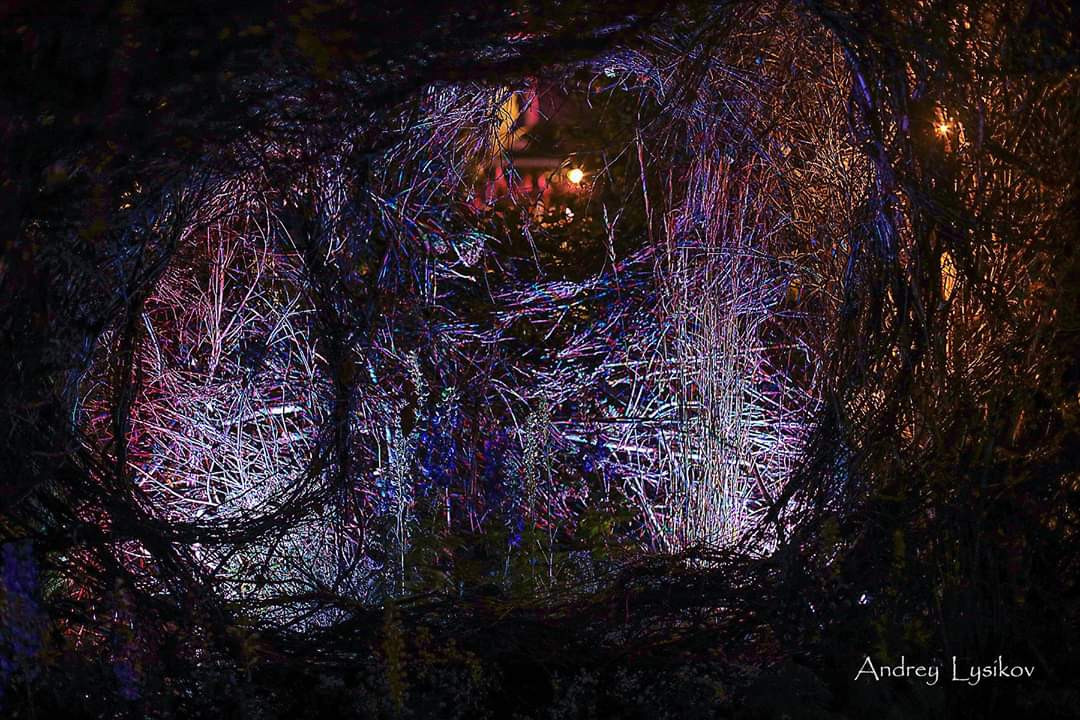 Проект недели: Сад «Декорации Метерлинка» на выставке в Москве