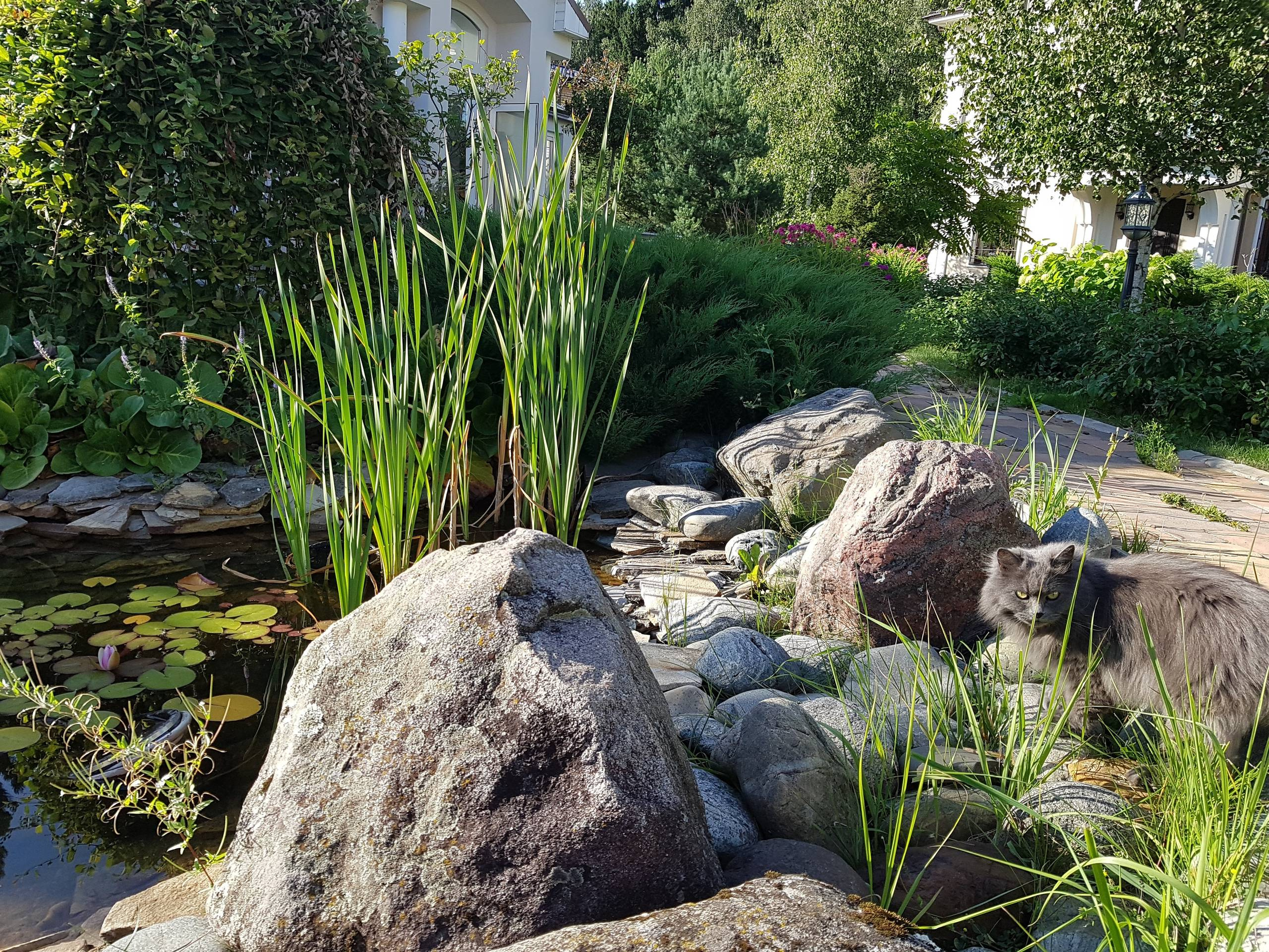 Проект недели: «Итальянский» сад с расписной лоджией при гараже