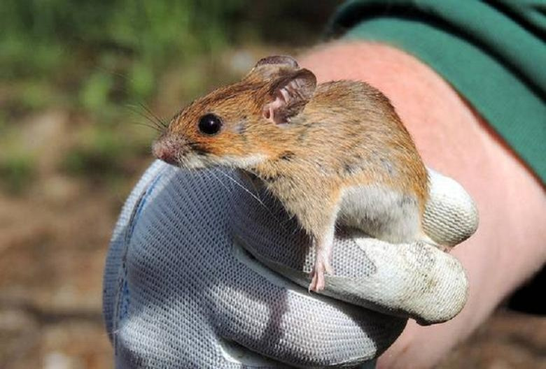 Как правильно: Провести генеральную уборку на садовом участке