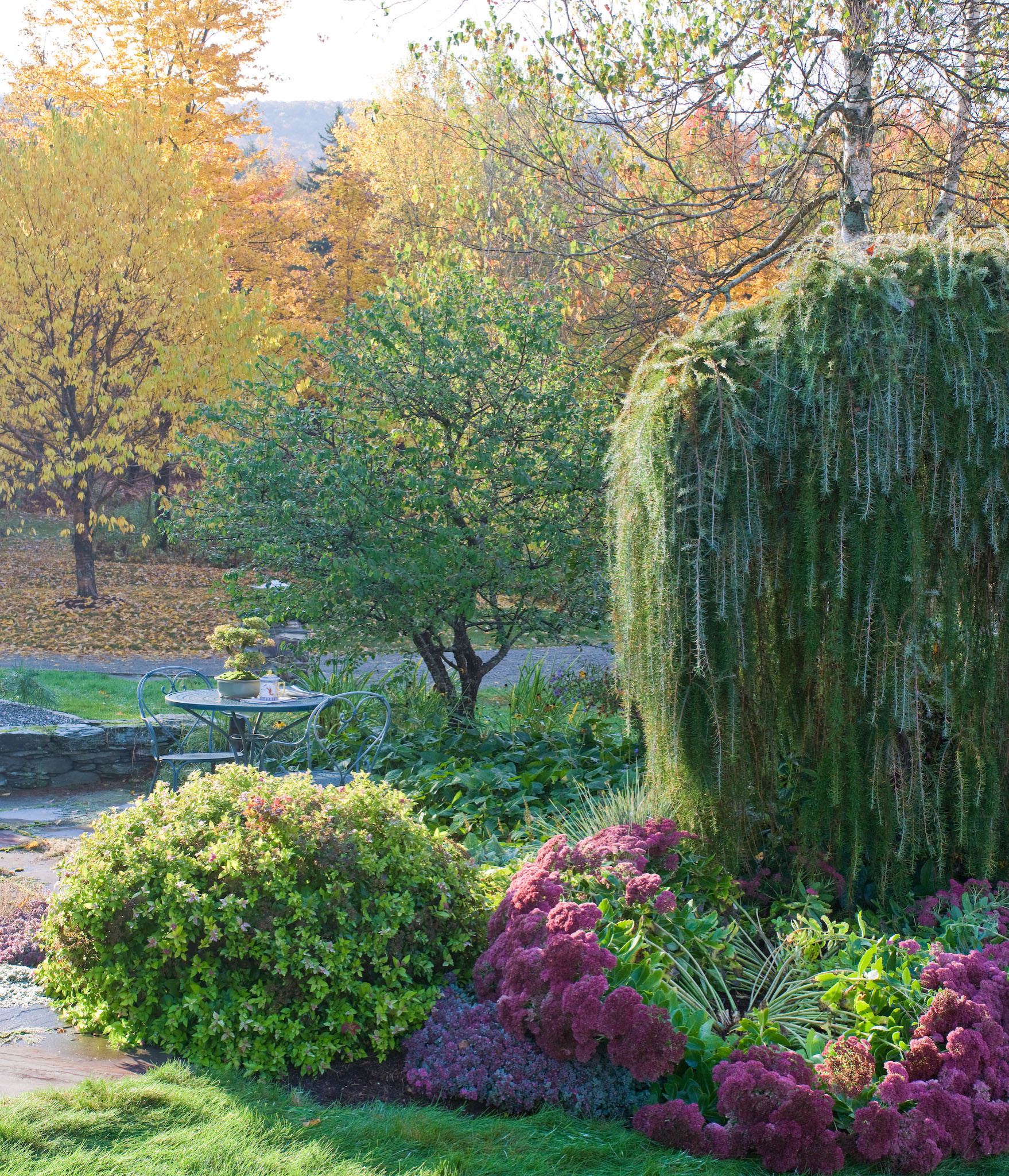 Принцип «изюм и тесто»: Как выбирать растения для сада