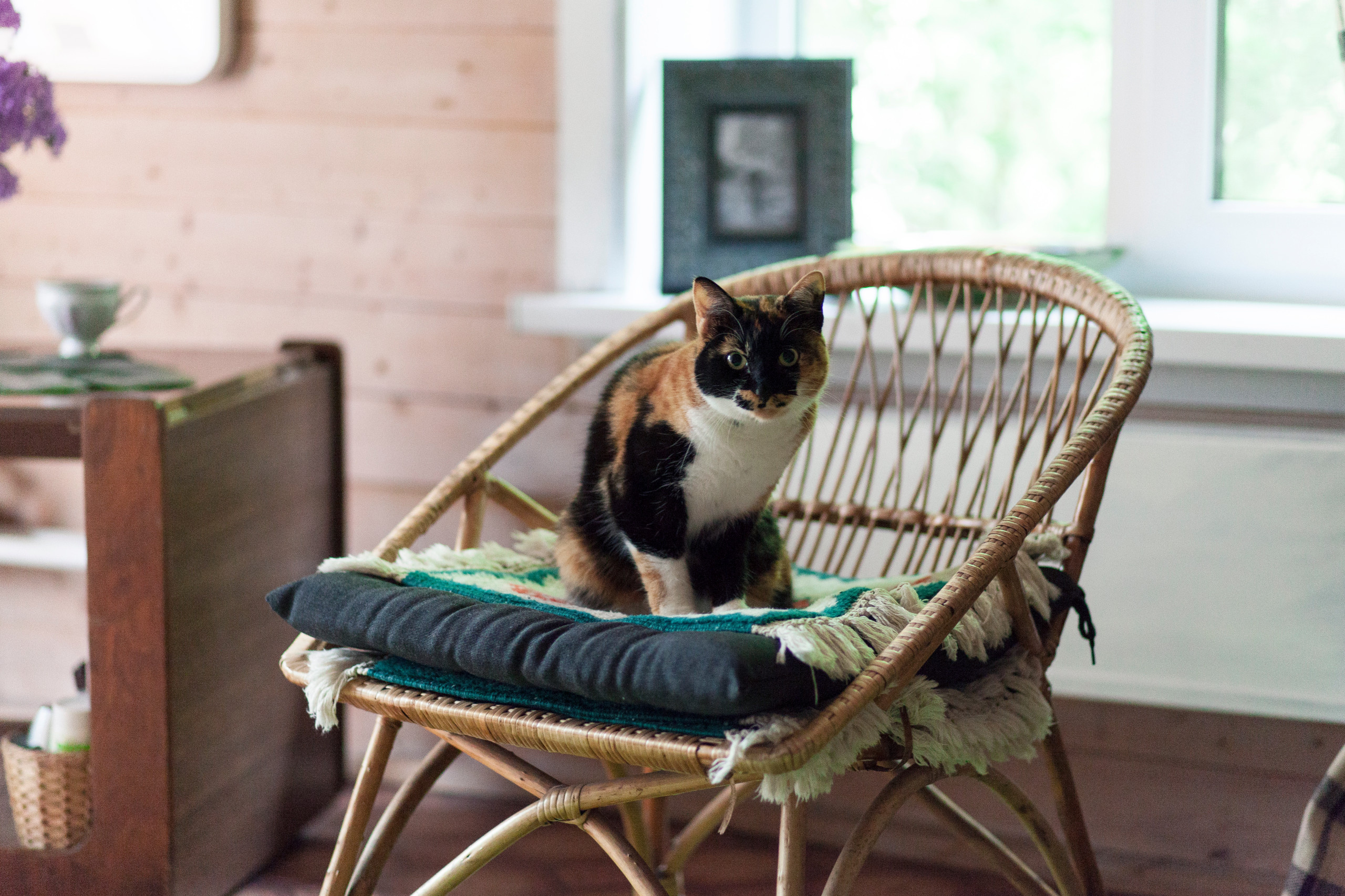 В гостях: Деревенский дачный домик с индийским шкафом