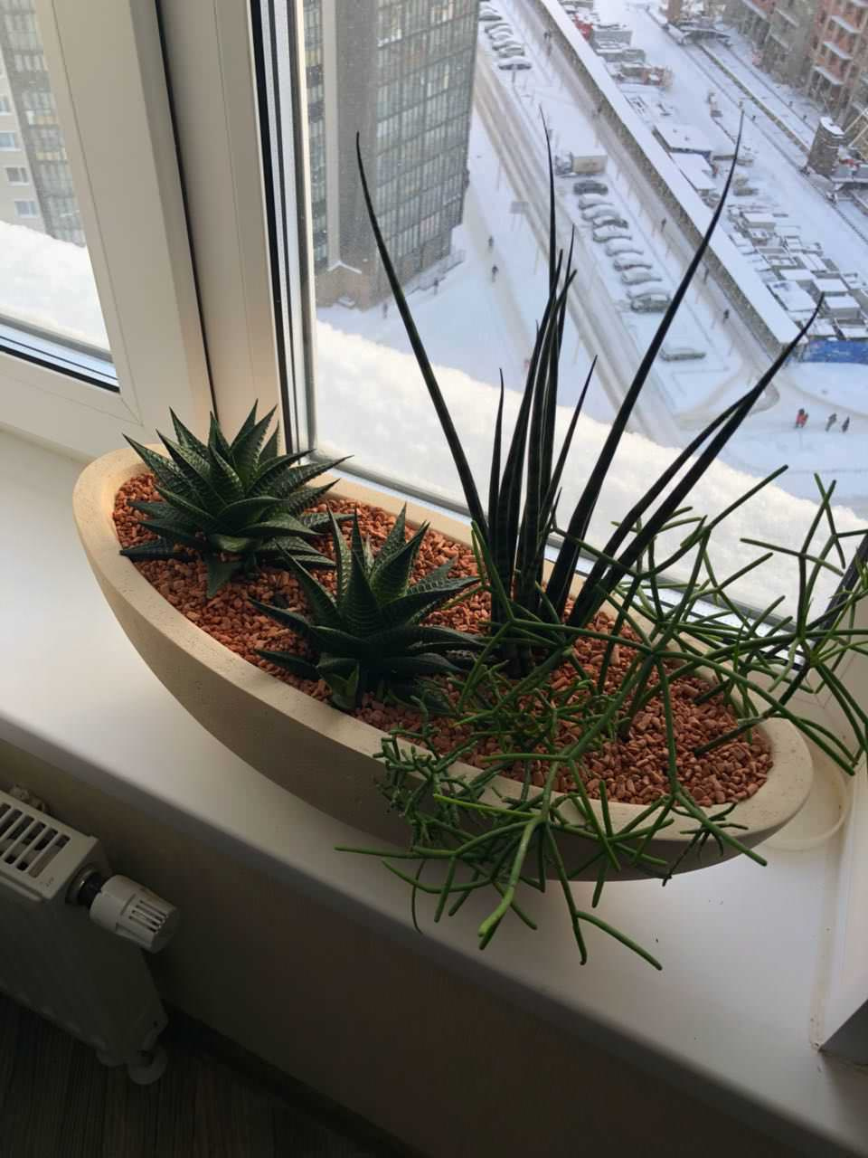 Вопрос: Чем заменить землю для растений в горшках