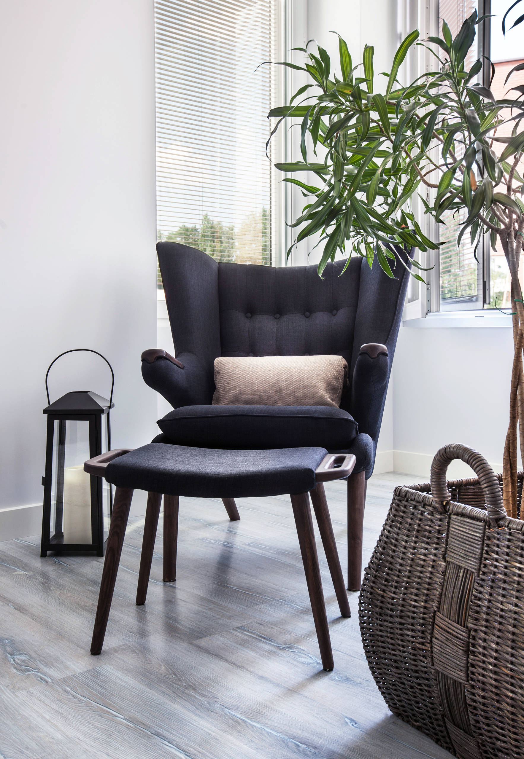 Вопрос: Как выбрать кашпо для больших растений