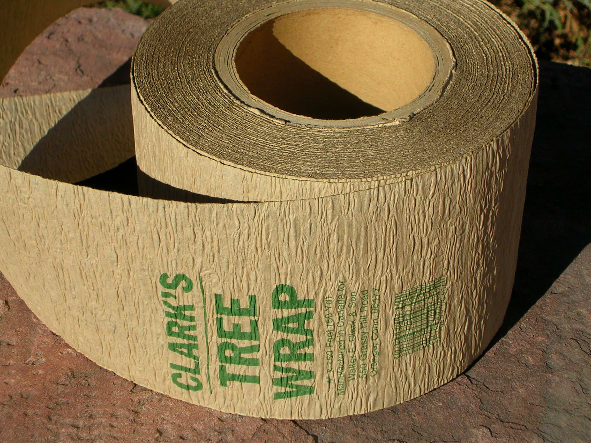 Вопрос: Какие работы важно проводить в саду зимой