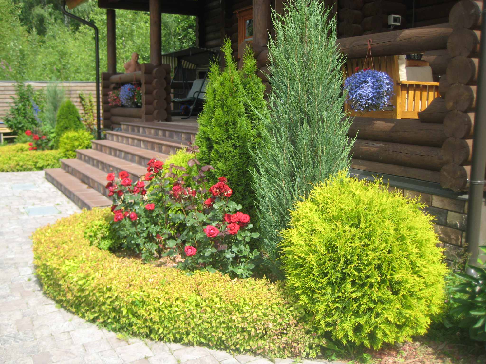 В закладки: Топ-5 растений для стриженого бордюра