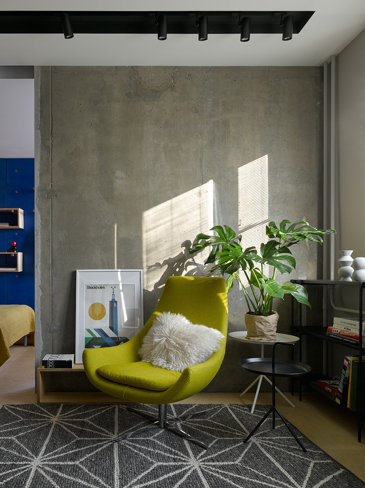 Houzz тур: Квартира 41 кв.м — бетон и синяя фанера