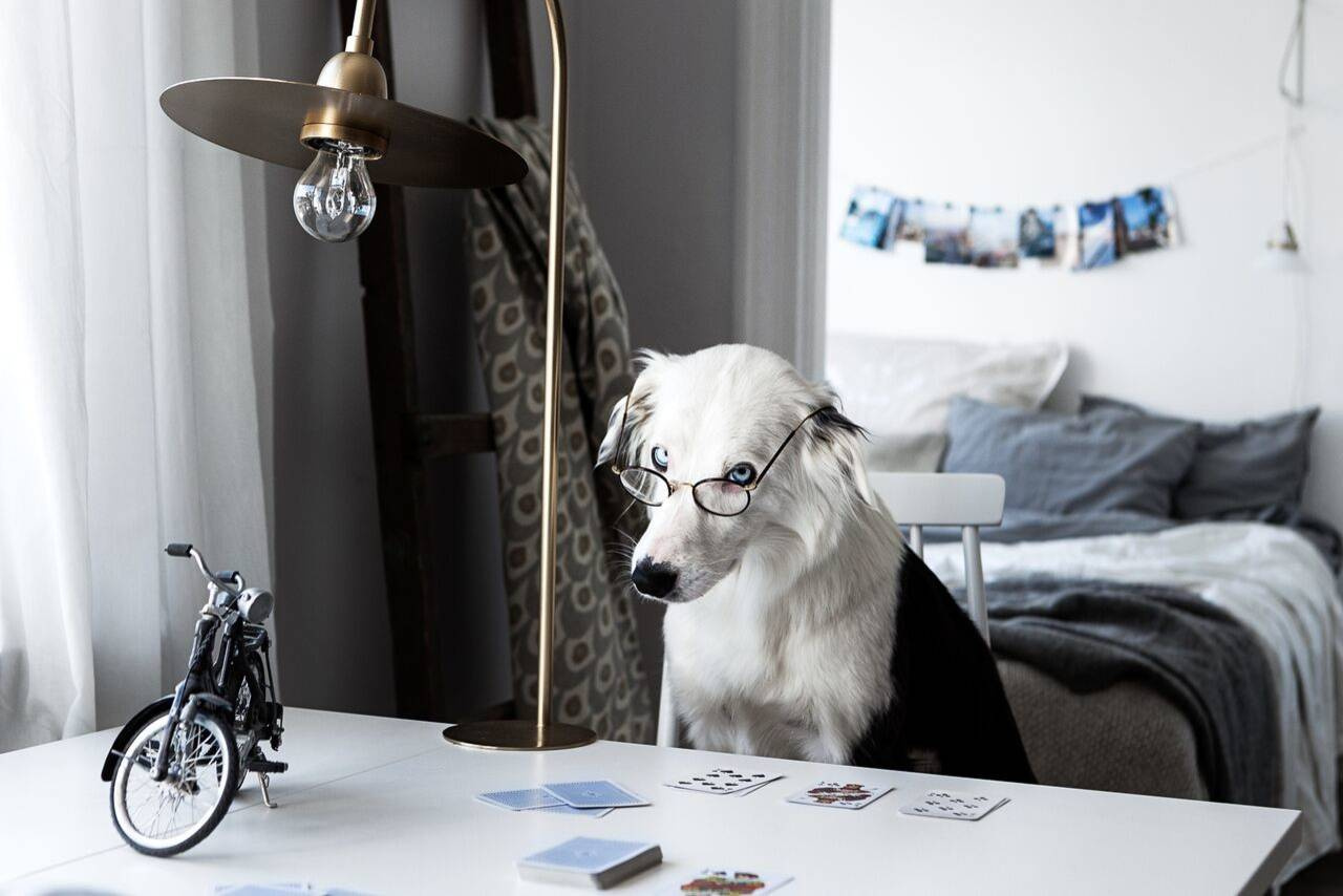 Ситуация: Заказчики не разрешают снимать интерьер