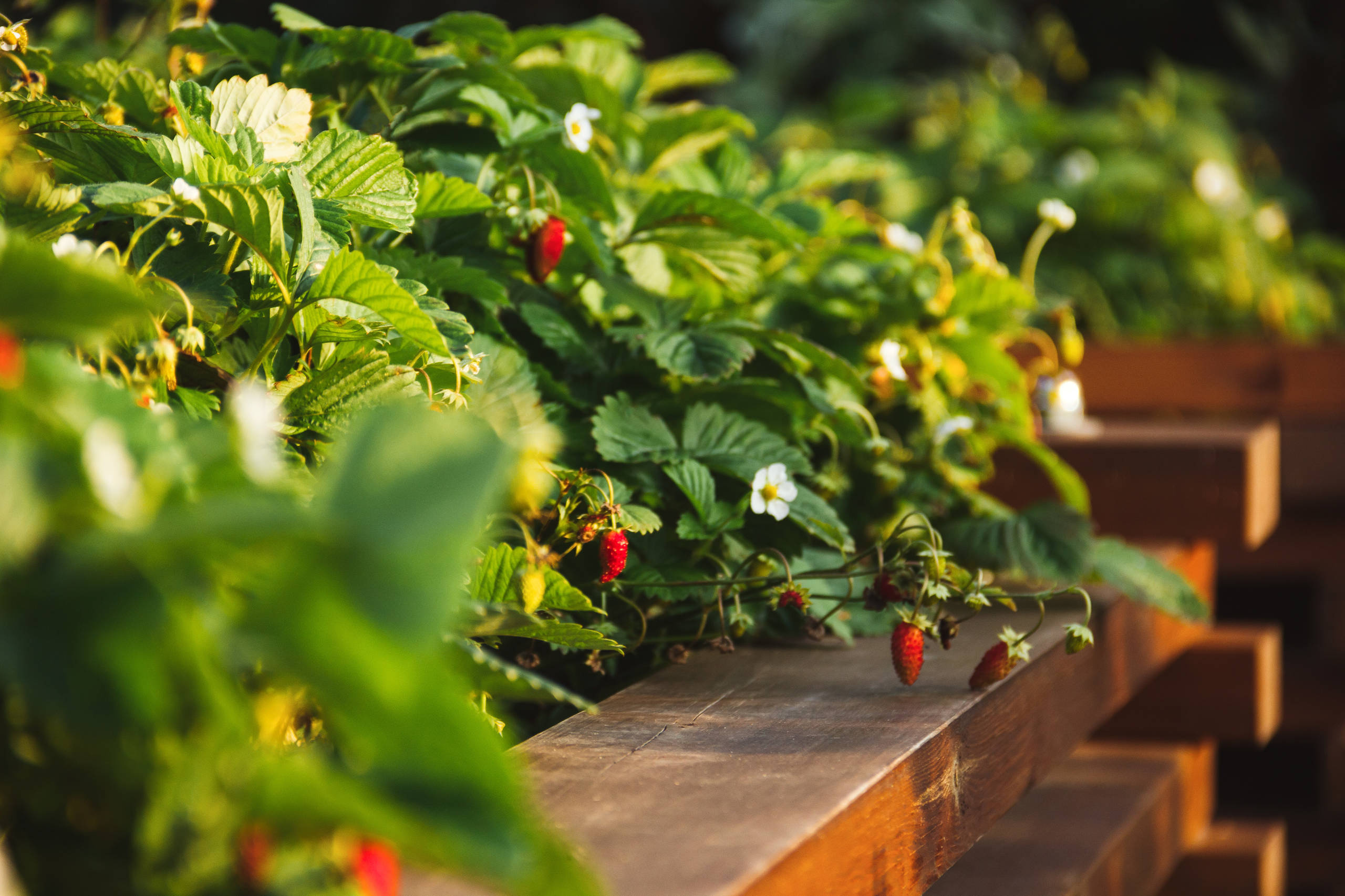 Как правильно: Создать огород в «неудобном» месте