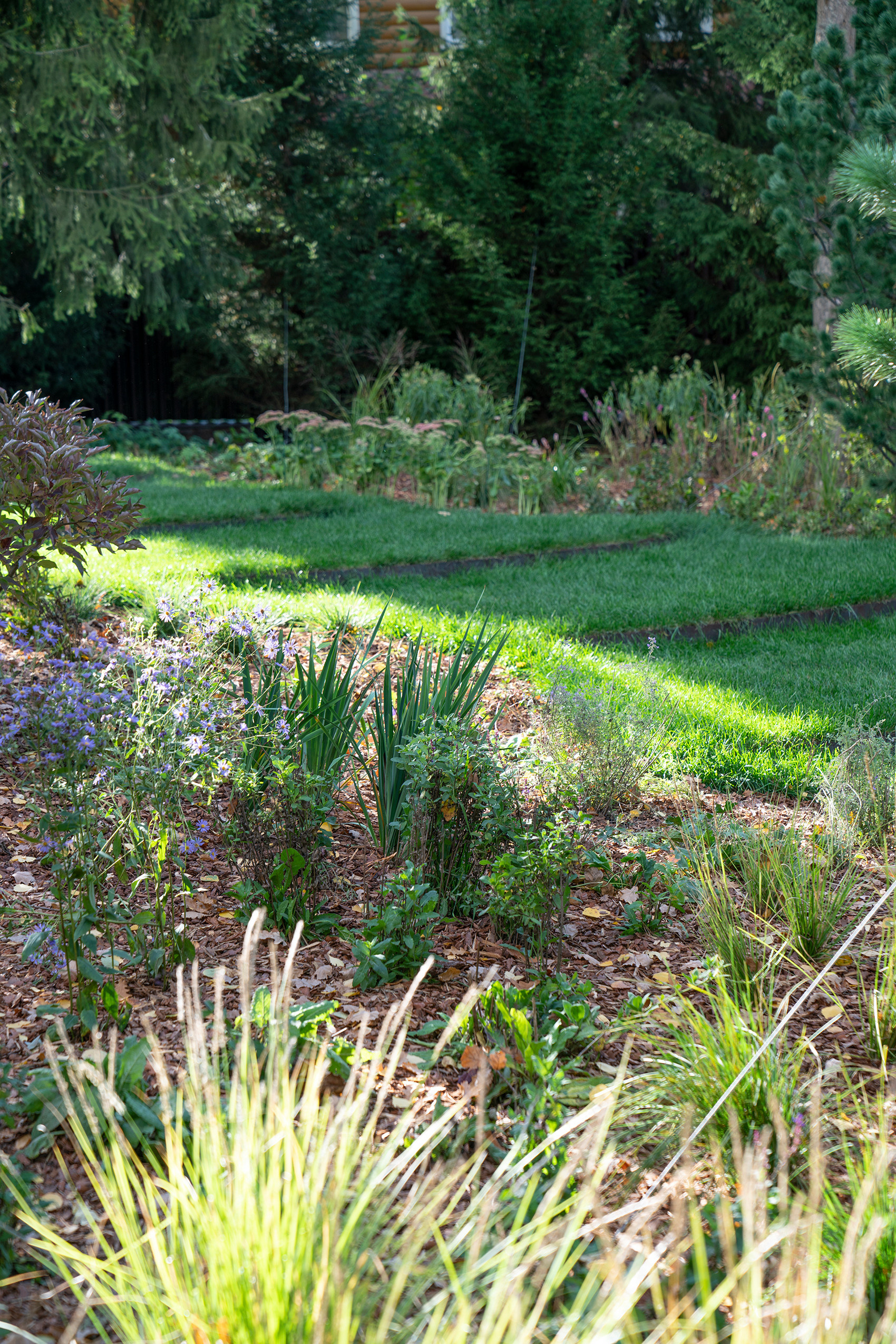 Таймлайн: 11 месяцев на реконструкцию сада 45 соток