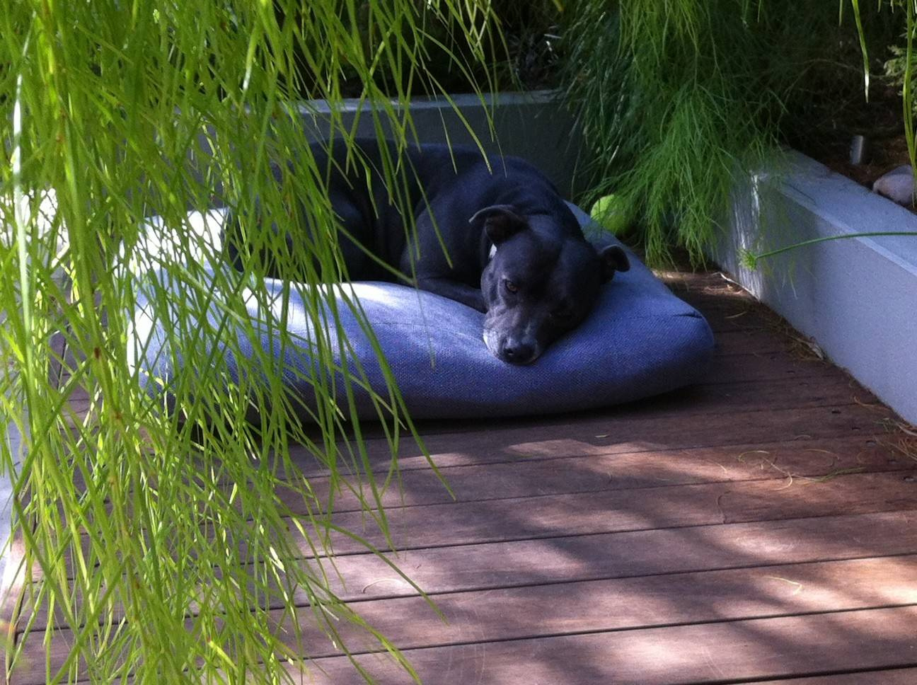 Зимний сад: Как понять, какой тип подходит именно вам