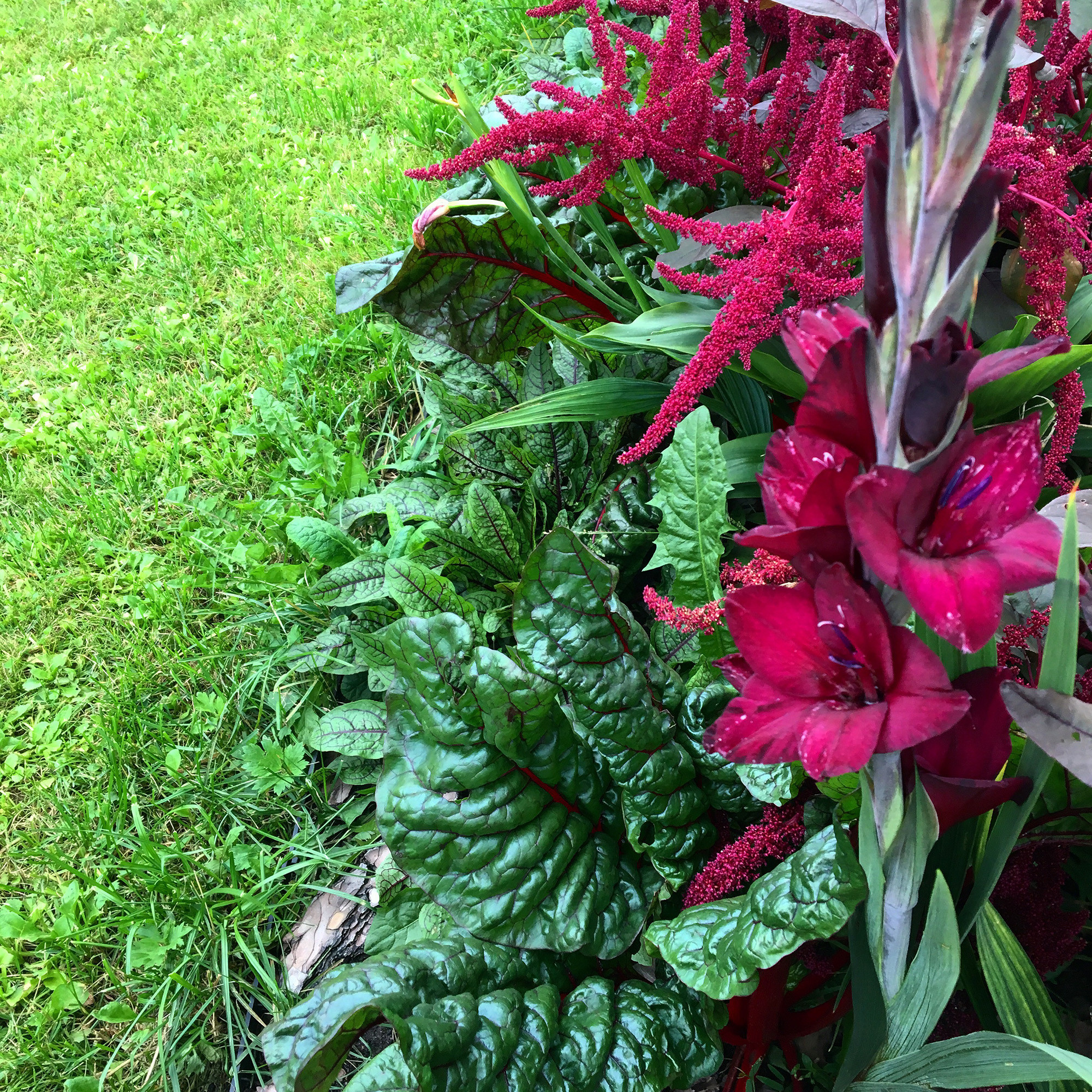 Что-то с чем-то: Как создавать композиции из растений