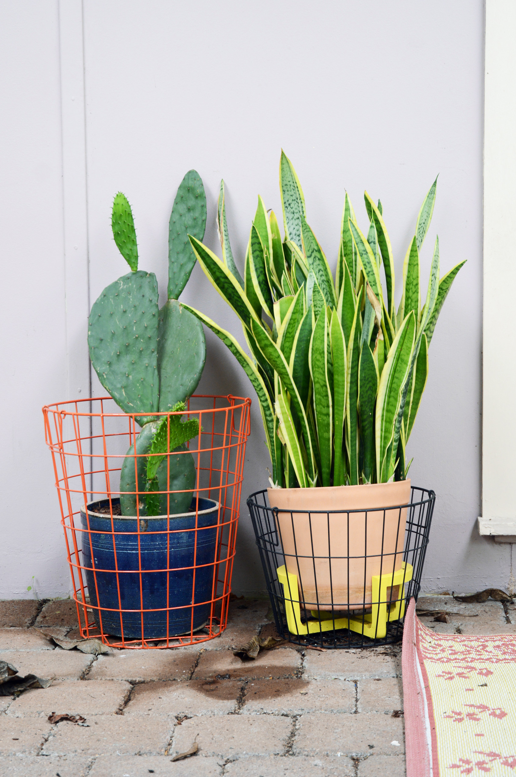 Дизайн-дебаты: Какими растениями украшать жилой интерьер