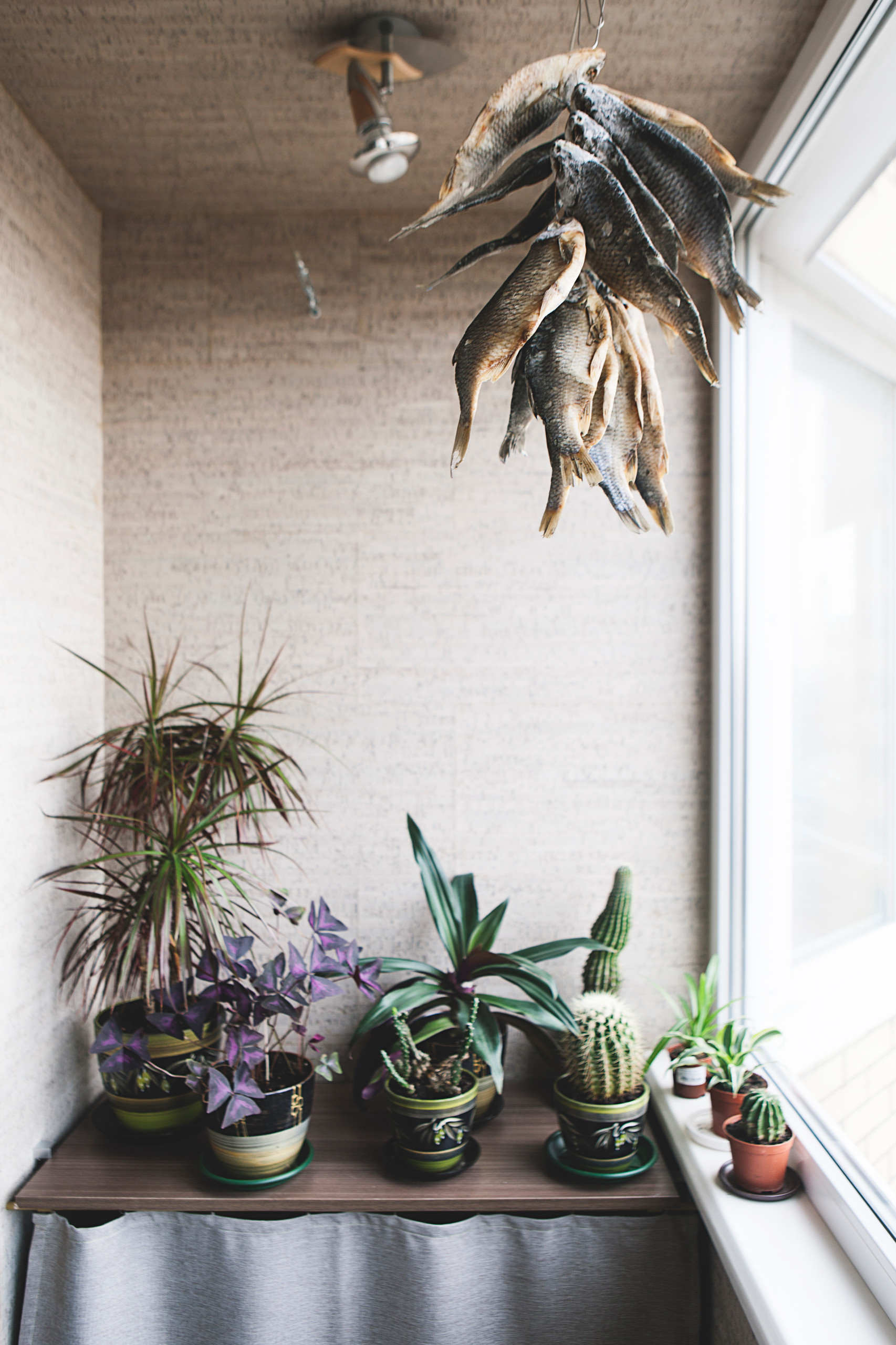 В гостях: Квартира в Химках для победителя