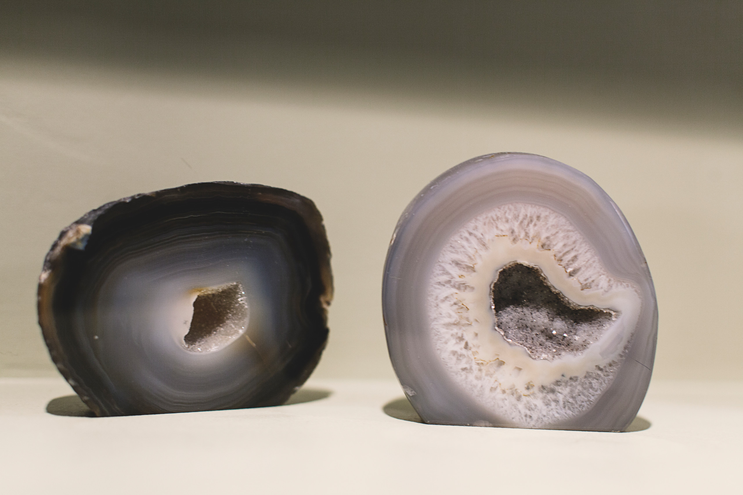 В гостях: Квартира в Химках для победителя