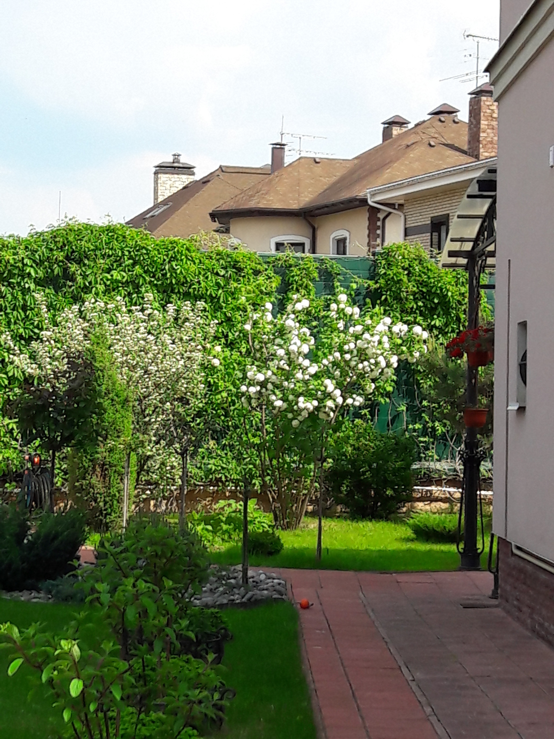 В гостях: Садик в подмосковных Рыбаках — как во Франции