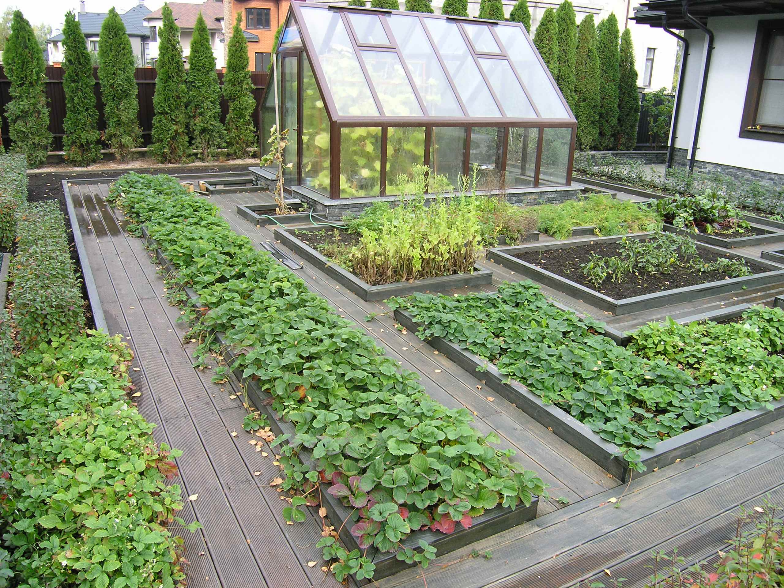 Как правильно: Сделать декоративный огород