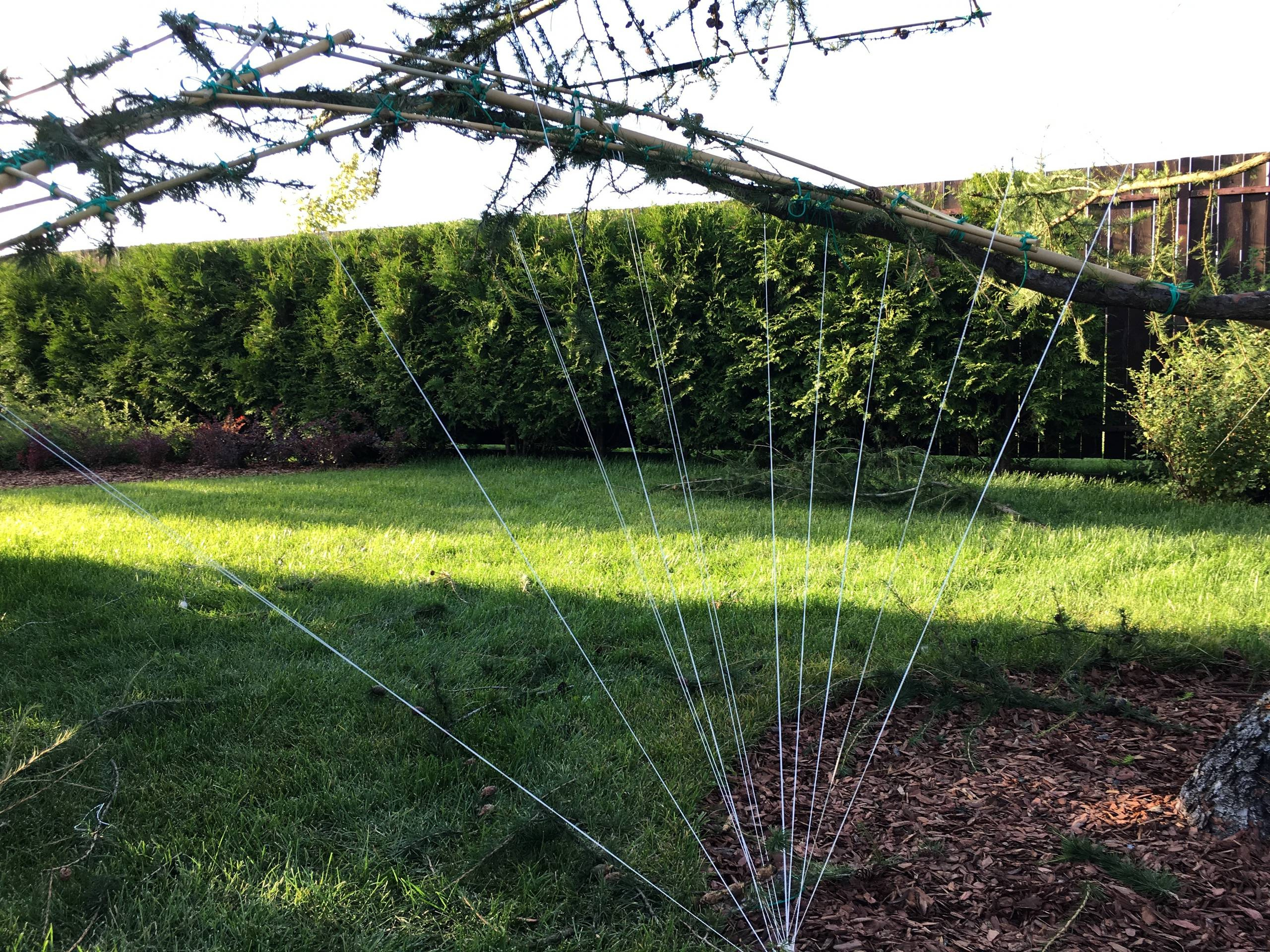 Проект недели: Сад, где любуются просторами от восхода до заката