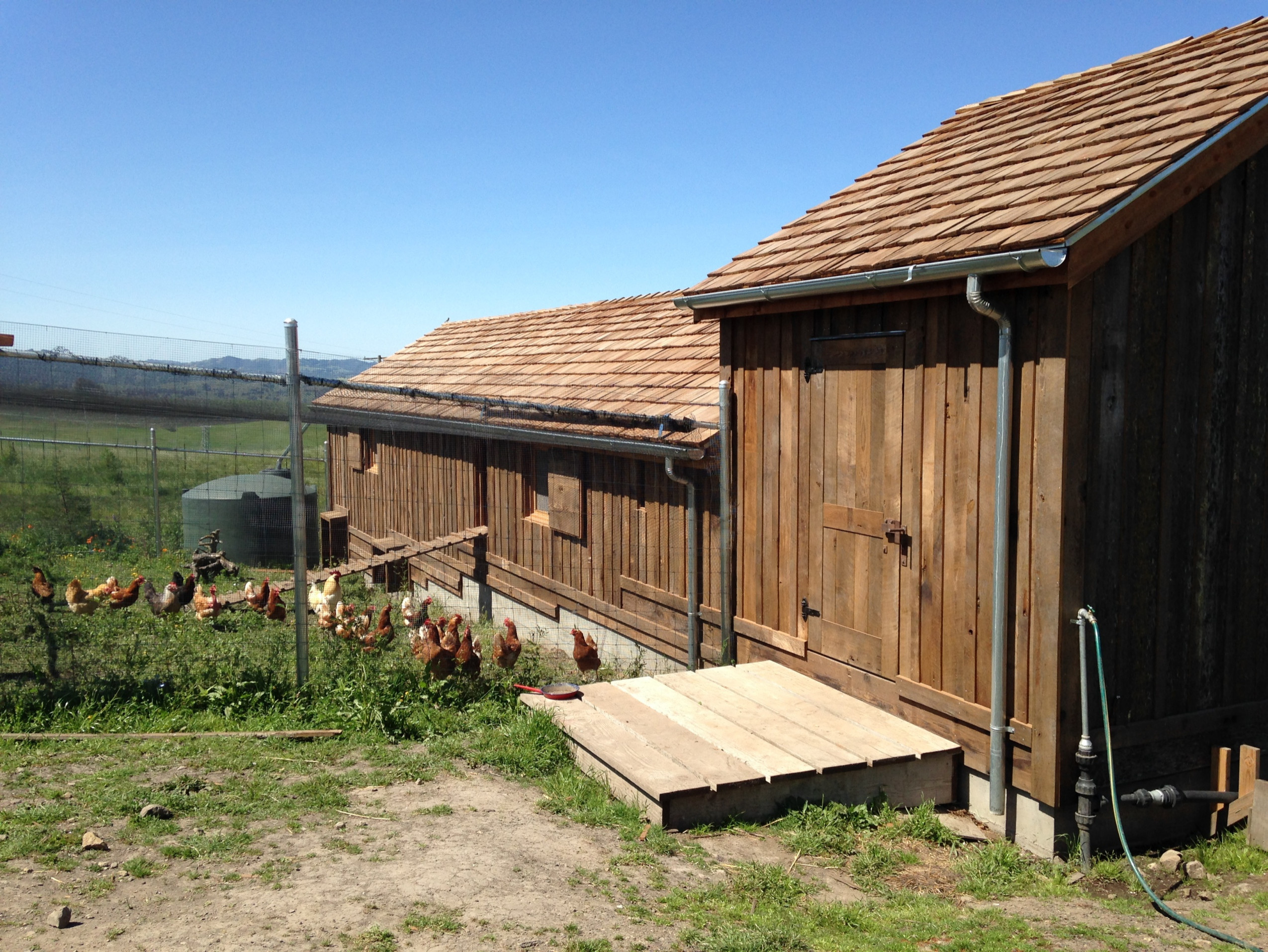 Вопрос: Как построить курятник своими руками