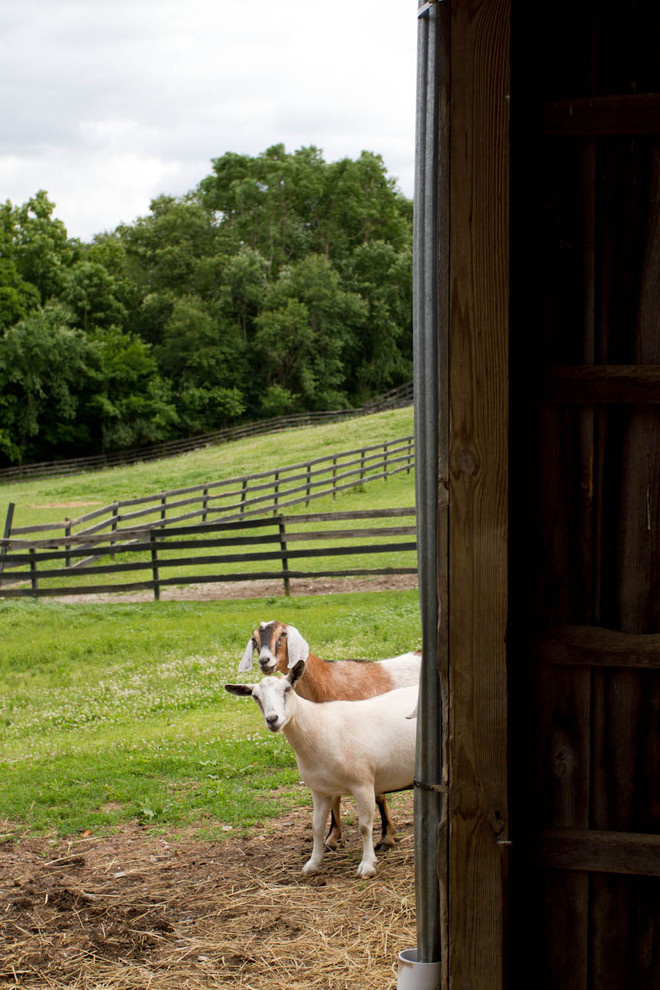 Houzz call: Покажите нам, что вы видите из окна прямо сейчас