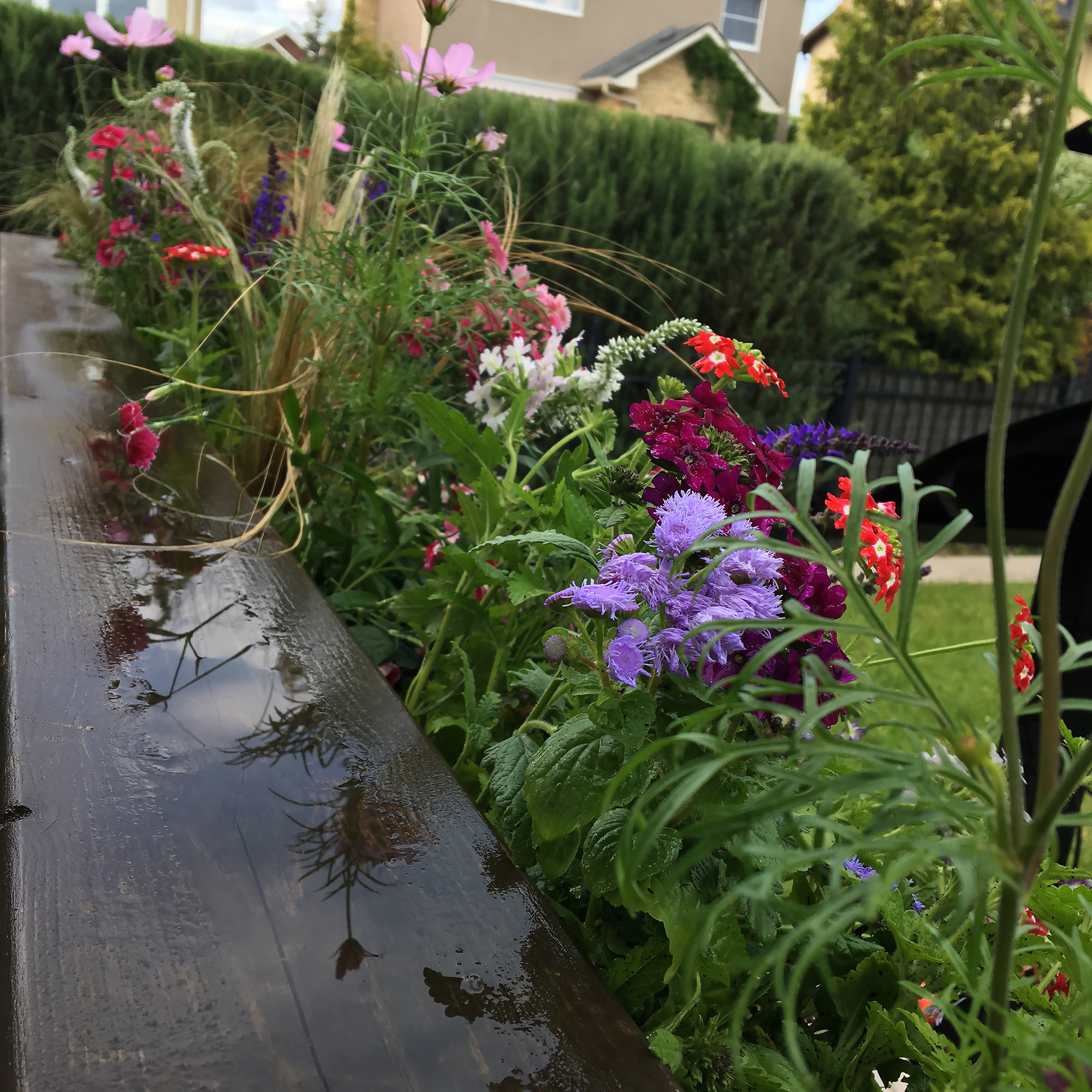 Что-то с чем-то: Как создавать композиции из растений