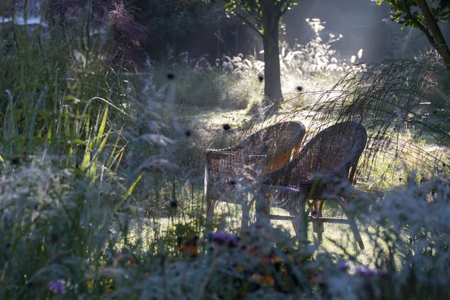 Хороший вопрос: Должен ли «мужской интерьер» быть брутальным