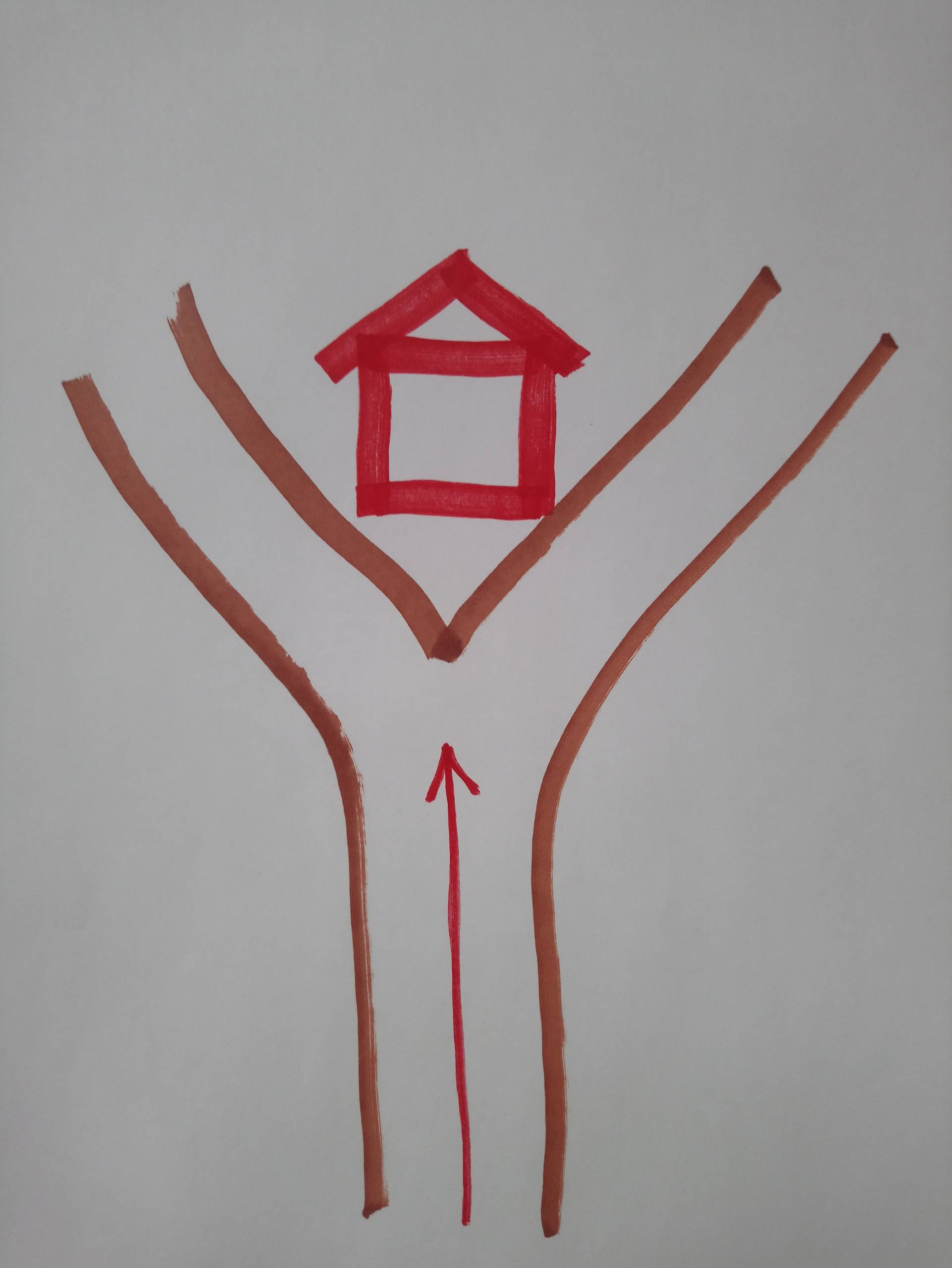 Фэншуй: Как место и положение дома влияют на живущих в нем