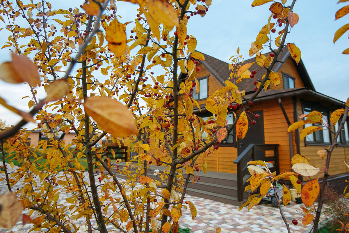 Проект недели: Пестрый сад в Рязанской области