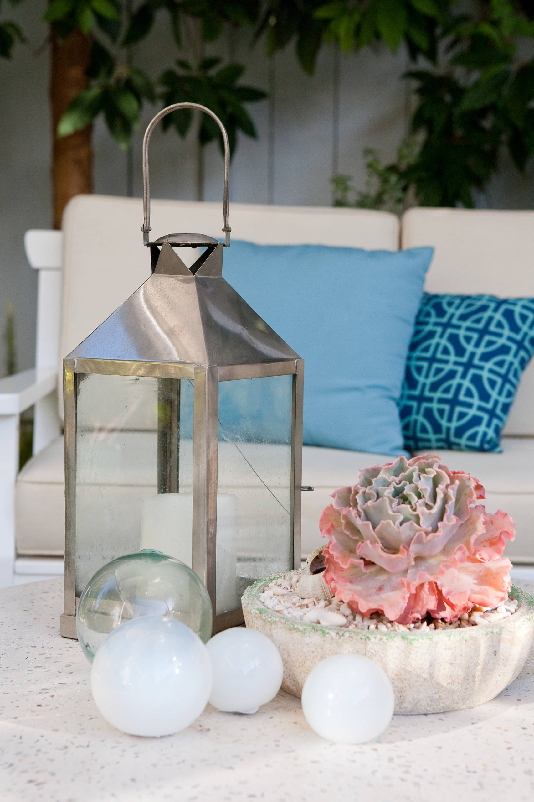 Как ухаживать за суккулентами в домашних условиях