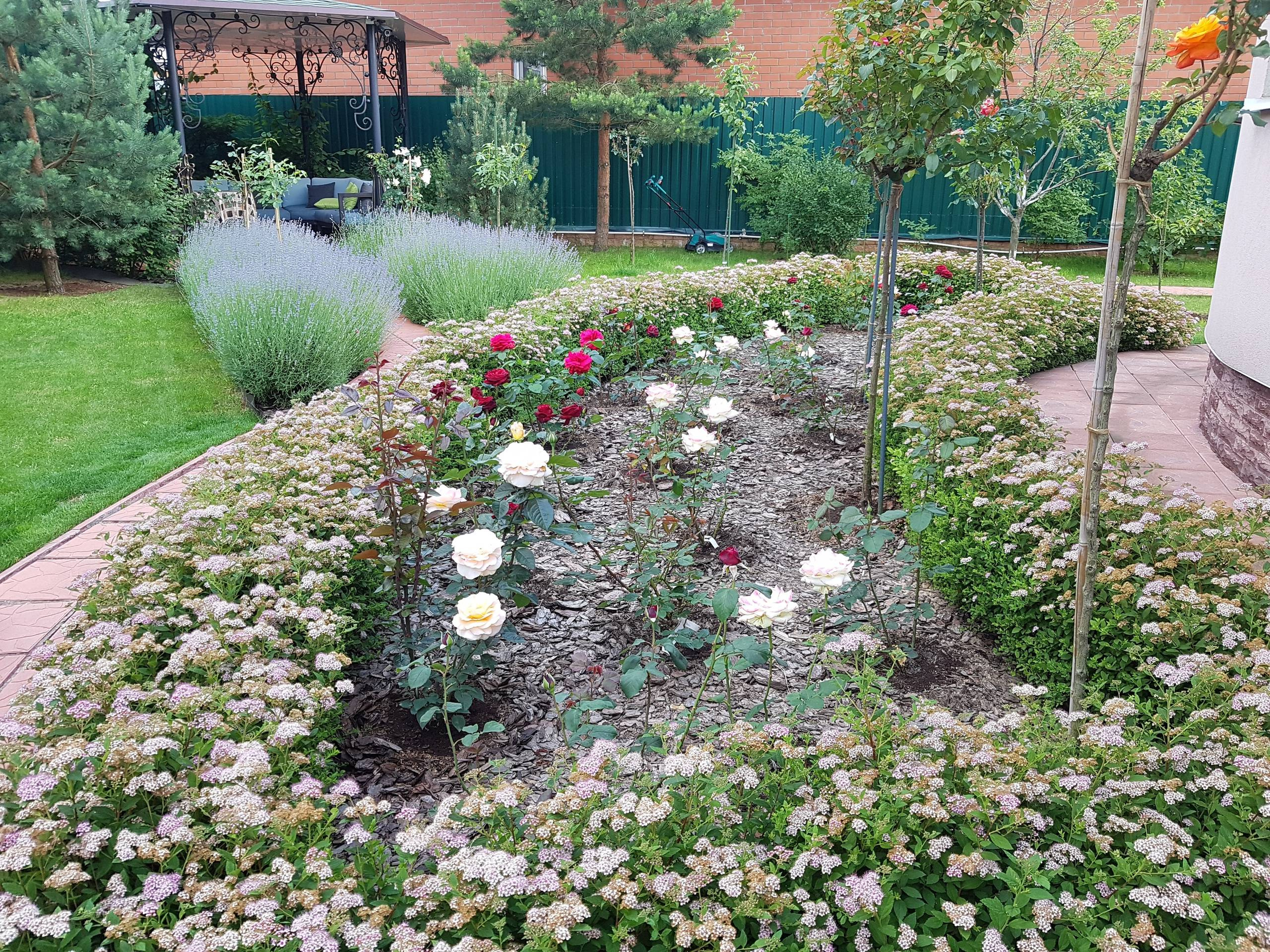 В гостях: Садик в подмосковных Рыбаках — как во Франции